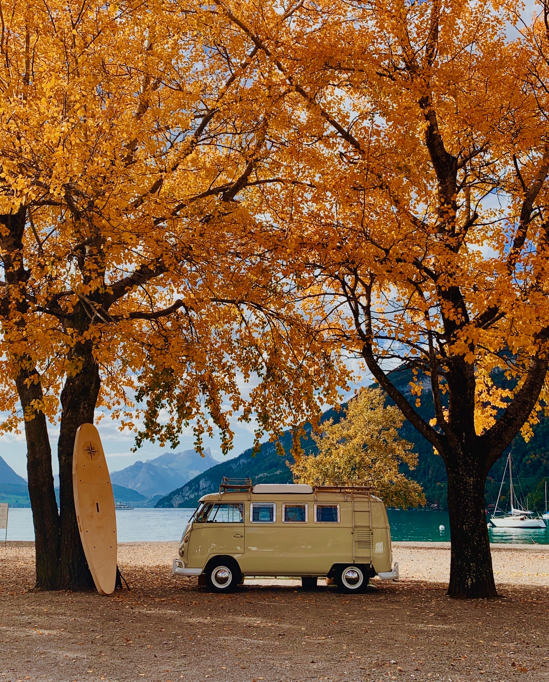 VW SO 42 Original VW Campingbus (deutsche Prod., Originalmotor)