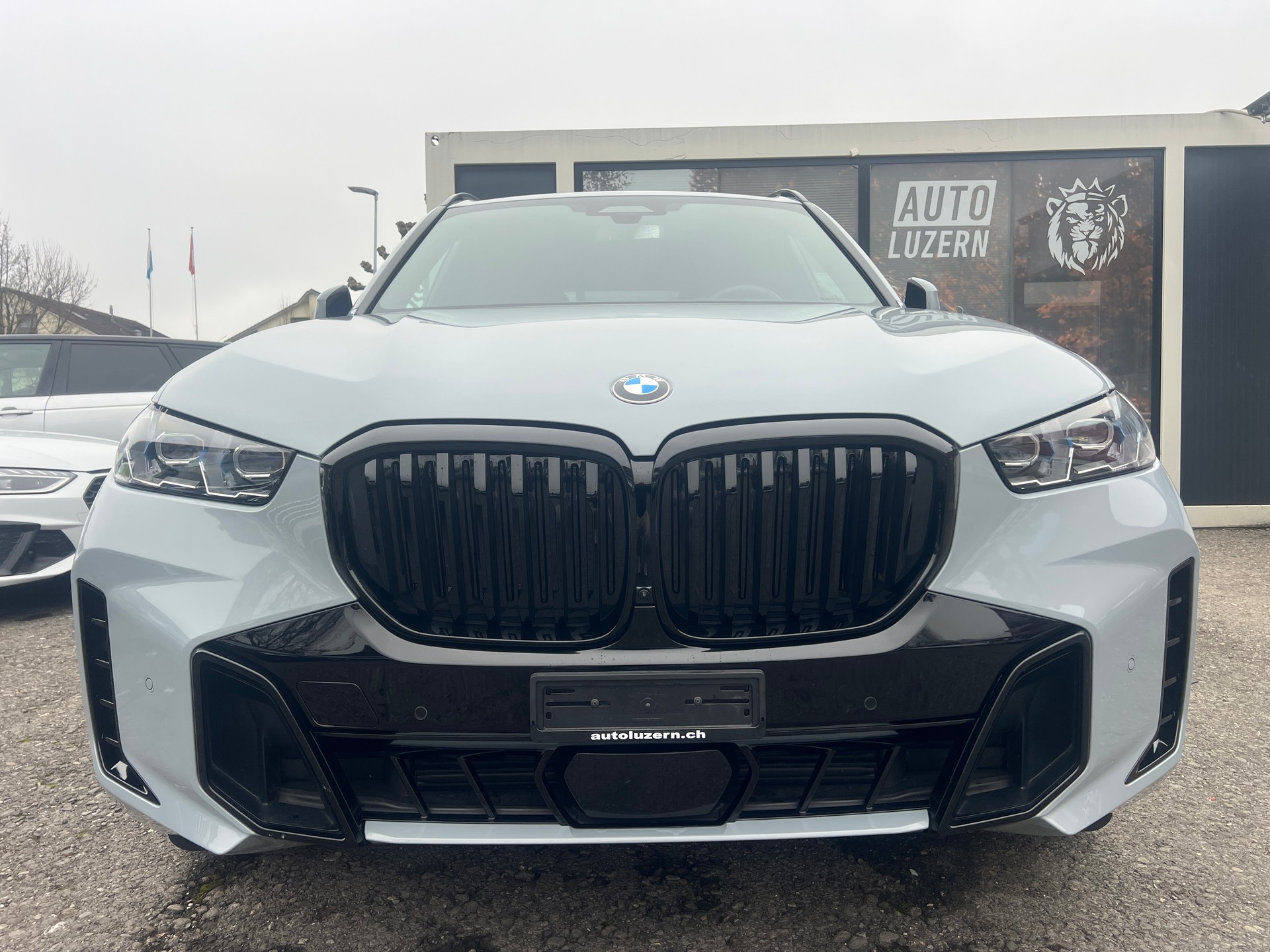 BMW X5 xDrive 48V 30d M Sport Steptronic-showroom-element-1
