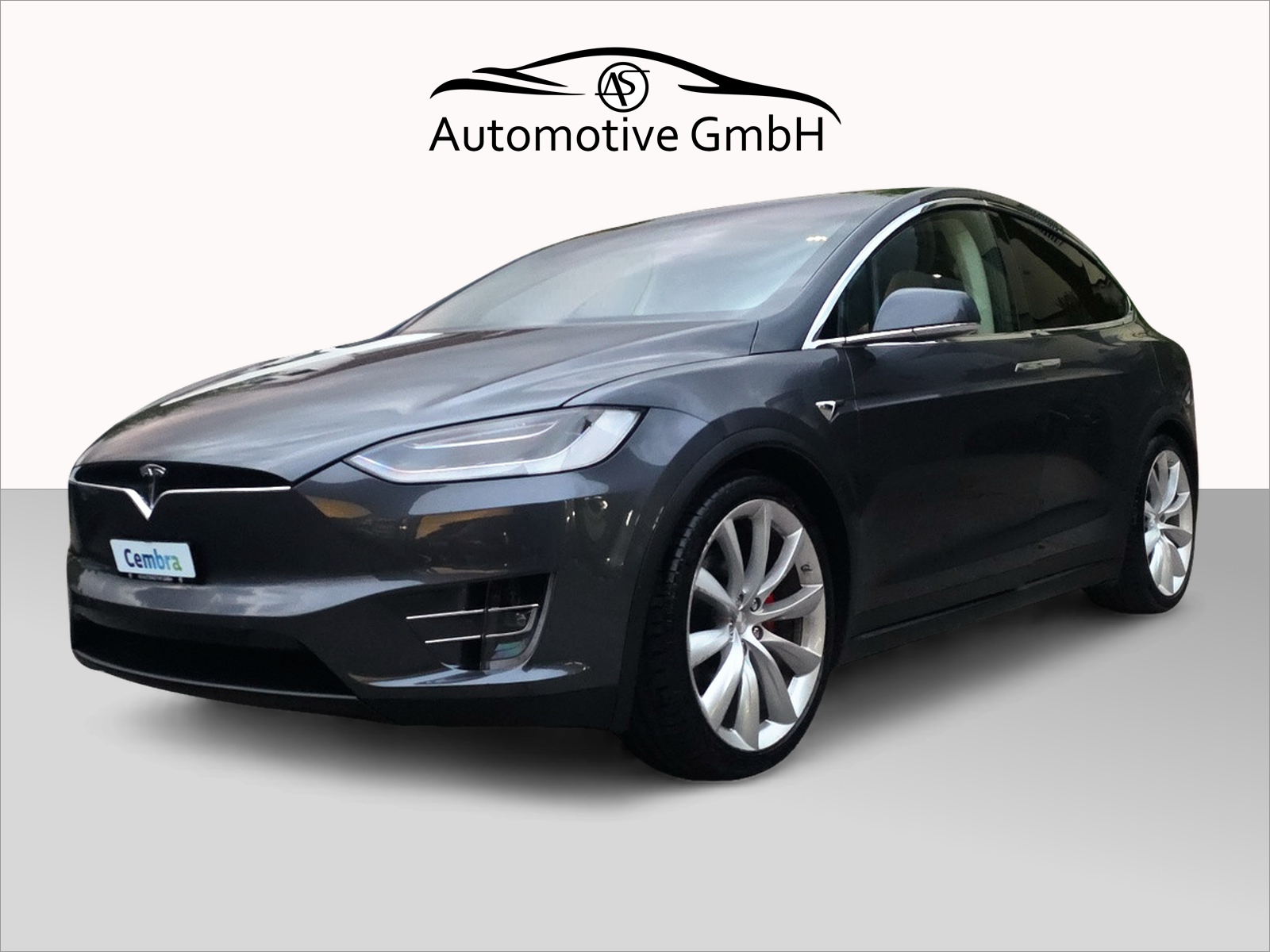TESLA Model X 100 D Performance