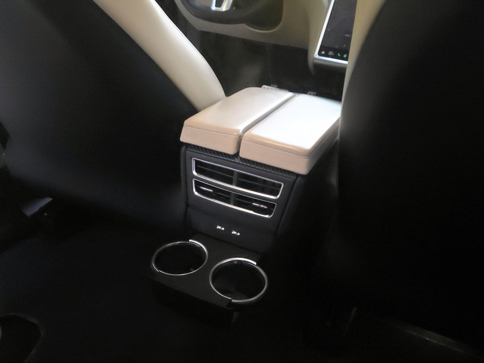 TESLA Model X 100 D Performance-image-19