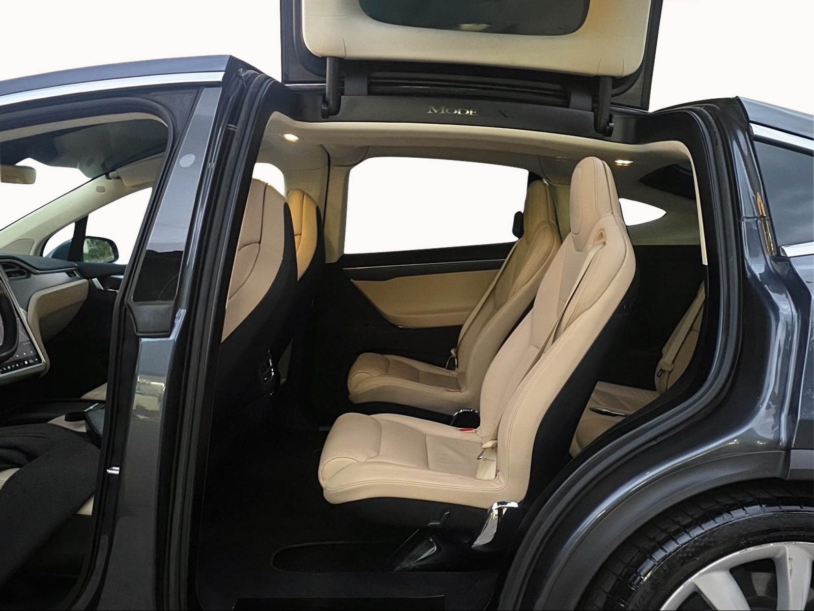 TESLA Model X 100 D Performance-image-18