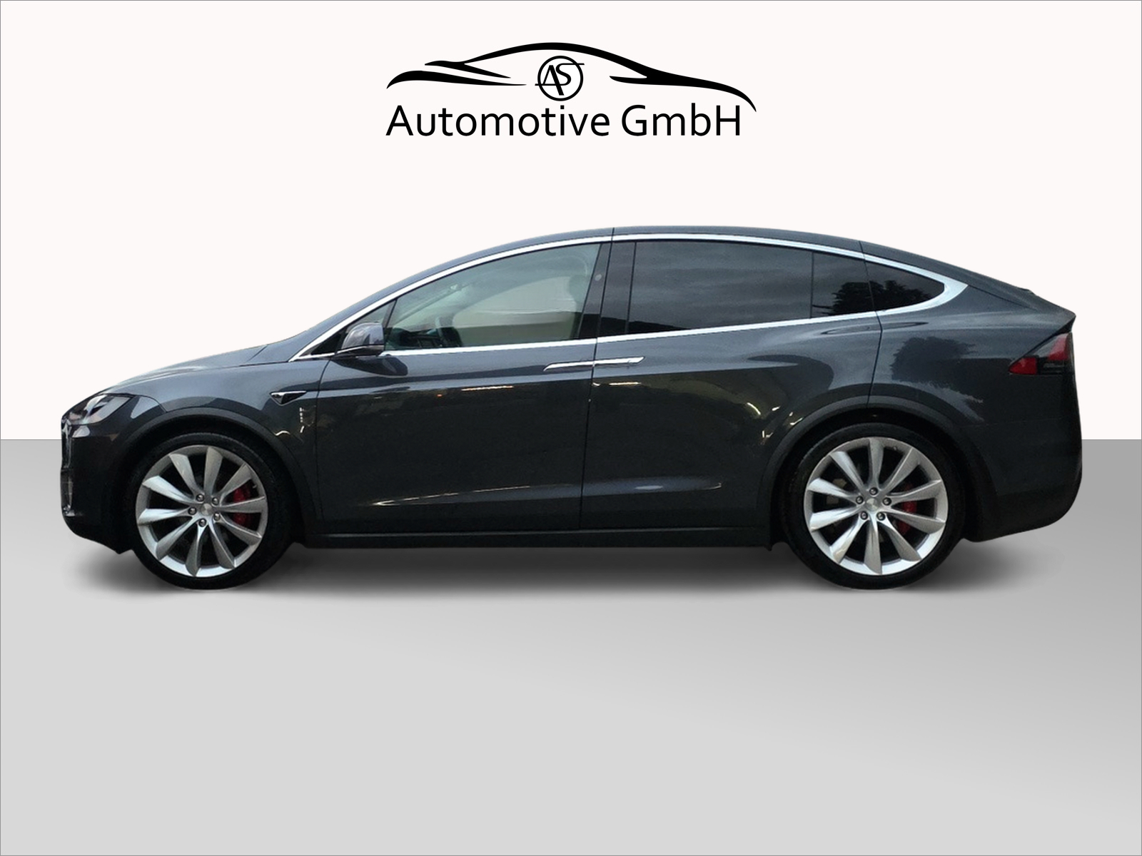 TESLA Model X 100 D Performance-showroom-element-2