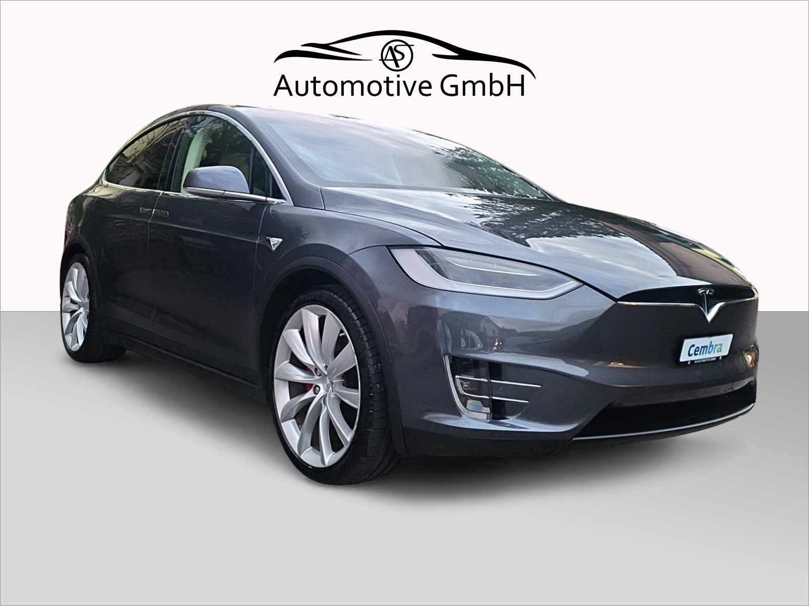 TESLA Model X 100 D Performance-image-8