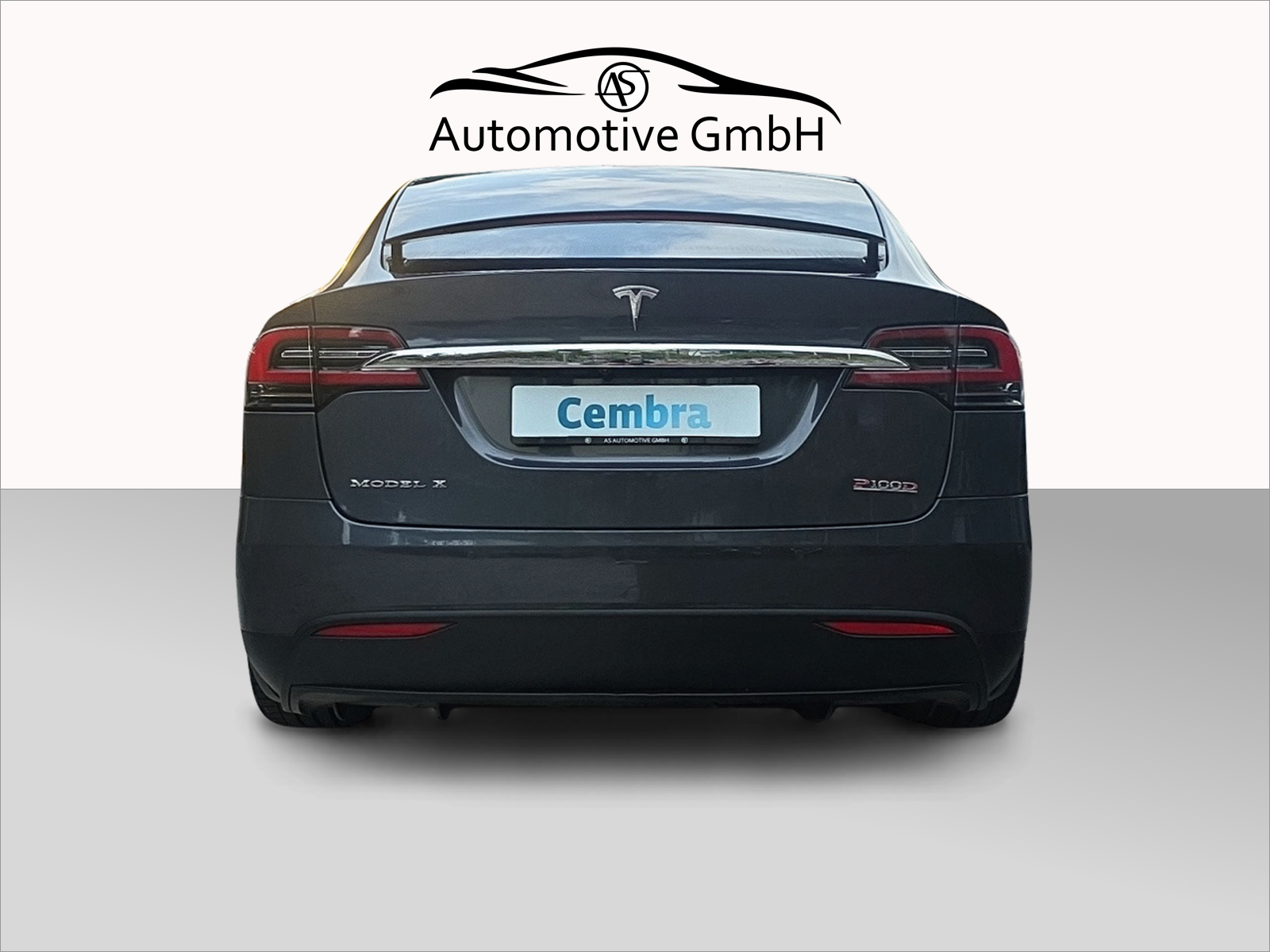 TESLA Model X 100 D Performance-image-4
