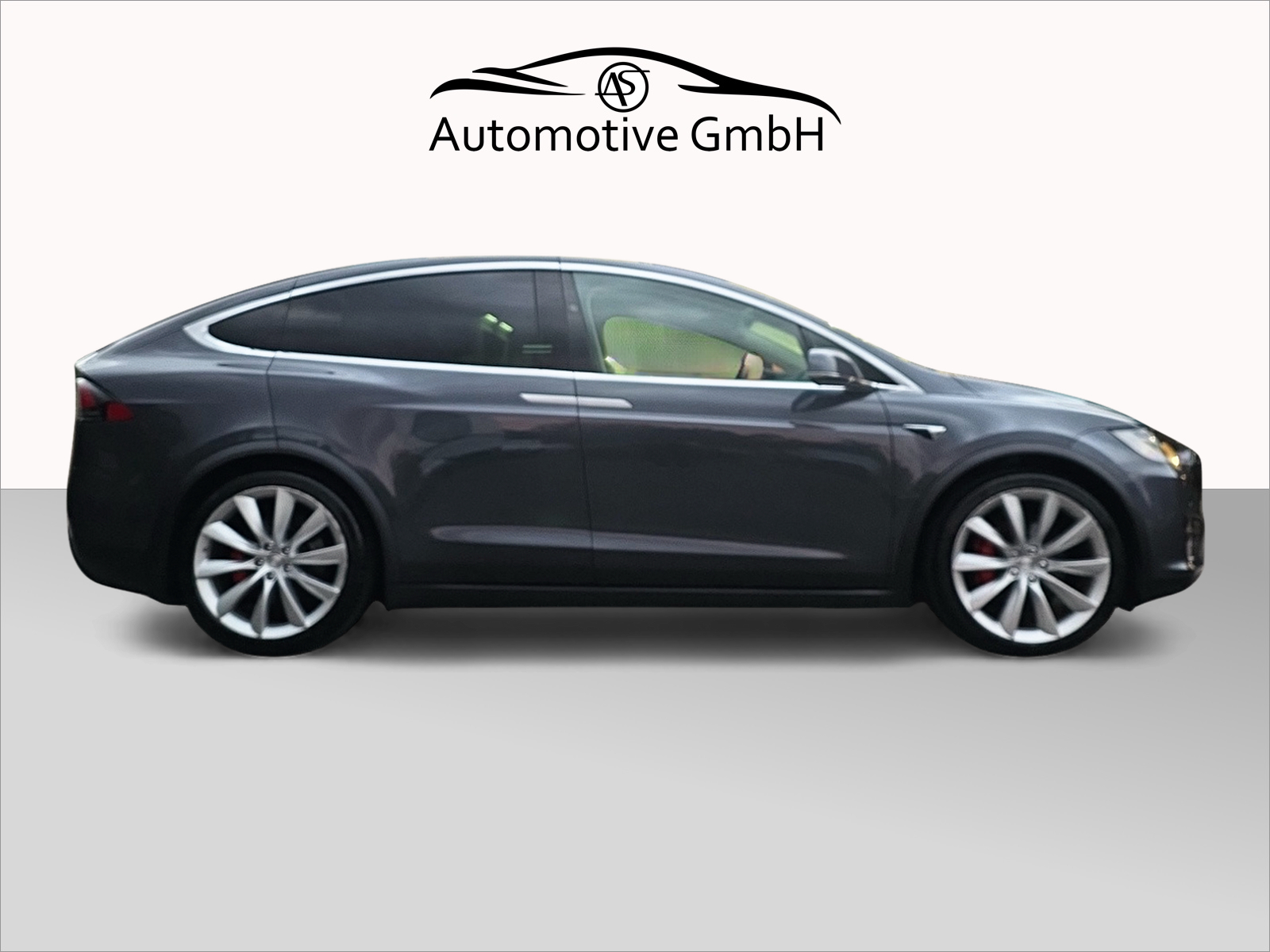 TESLA Model X 100 D Performance-image-6