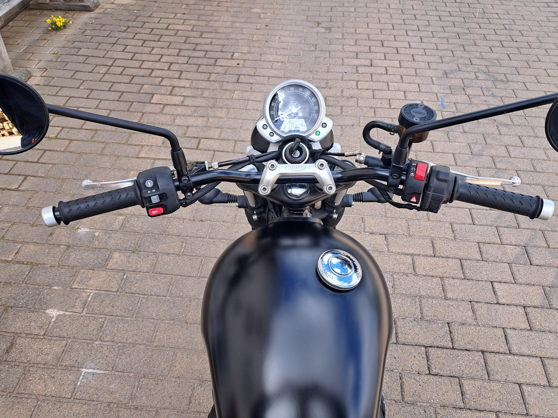TRIUMPH Street Twin 900 i-image-9
