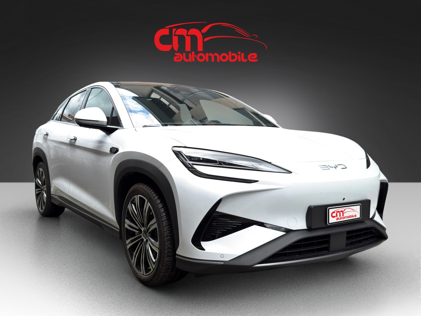 BYD Sealion 7 91,3 kWh Excellence AWD-image-7