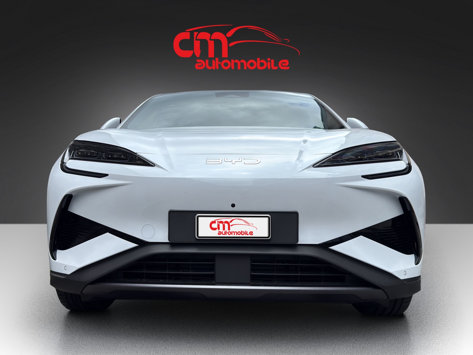 BYD Sealion 7 91,3 kWh Excellence AWD-image-8