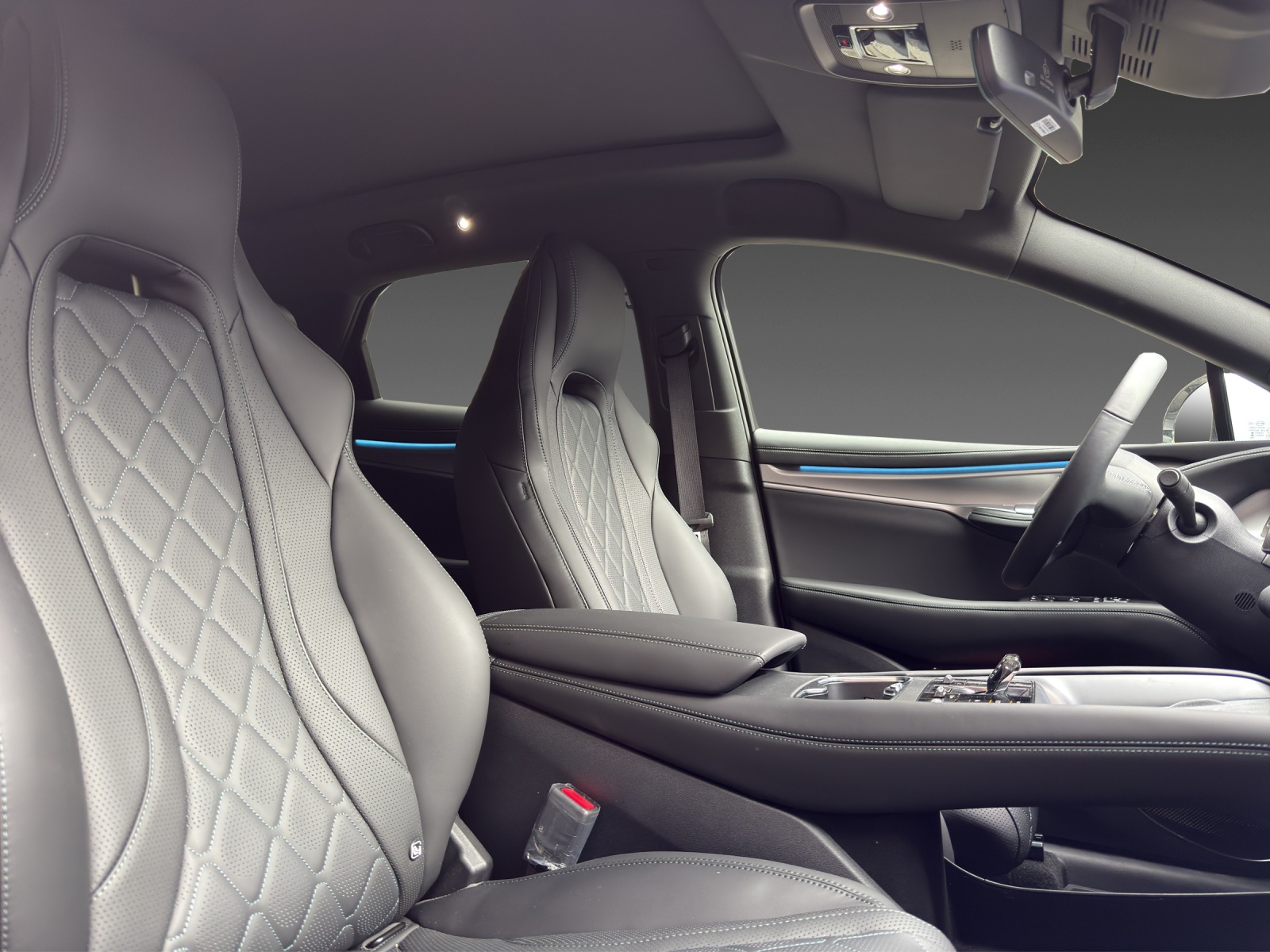 BYD Sealion 7 91,3 kWh Excellence AWD-image-12