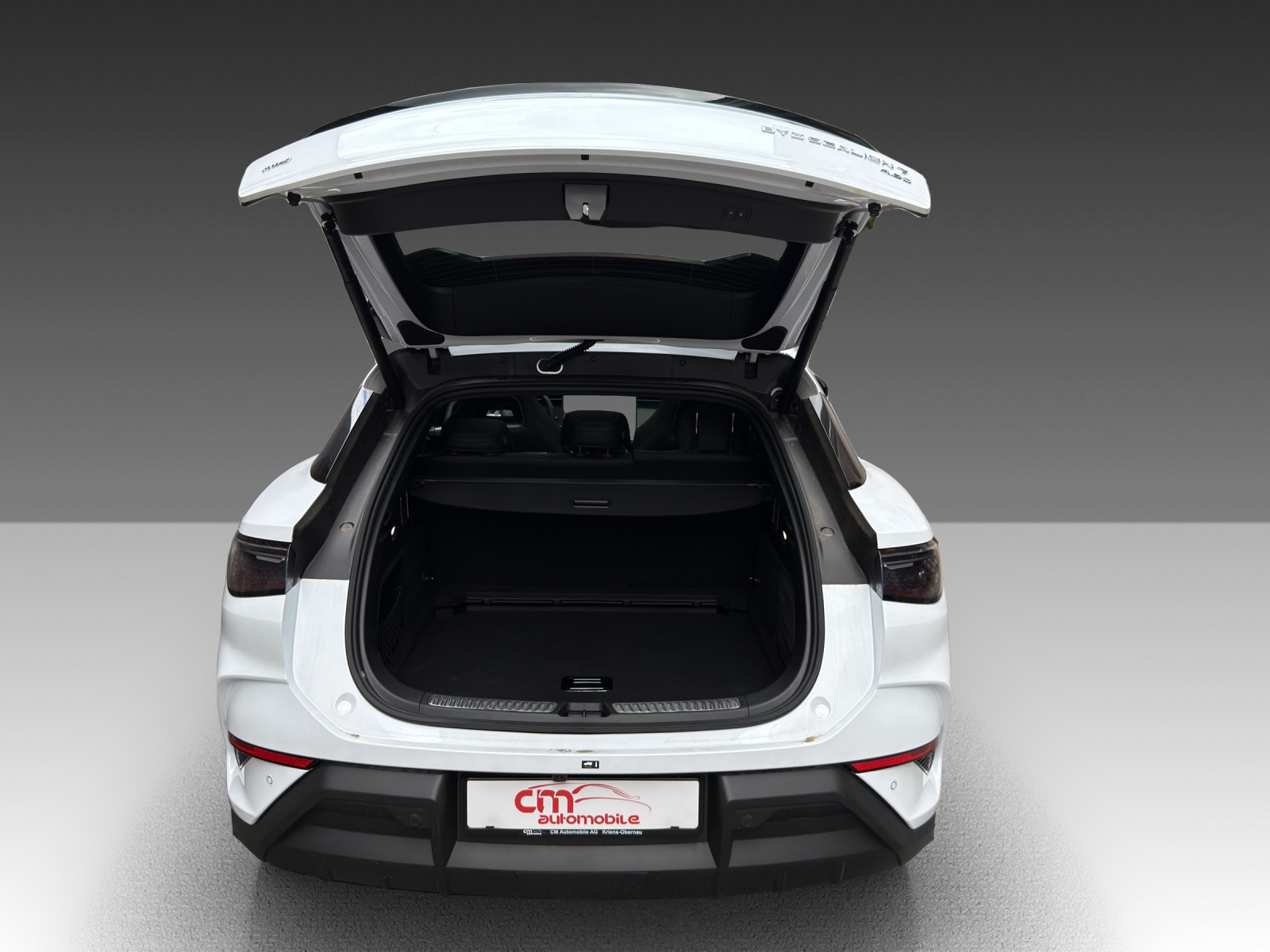 BYD Sealion 7 91,3 kWh Excellence AWD-image-4