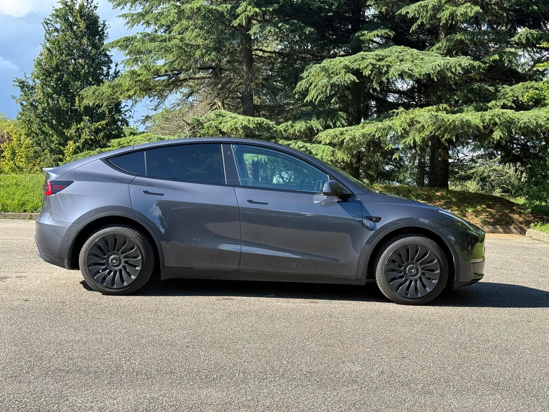 TESLA Model Y Long Range-image-2
