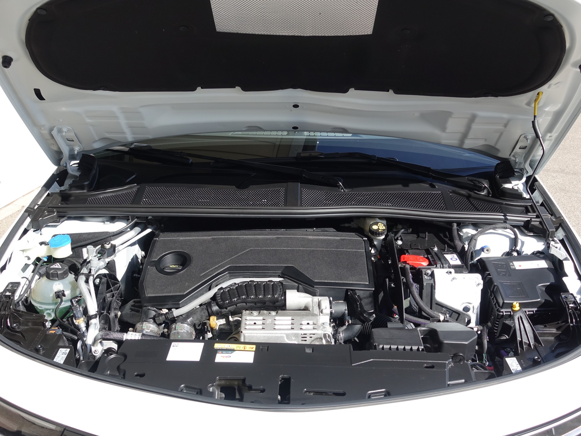 OPEL Astra 1.2i MHEV Edition Automat-image-7