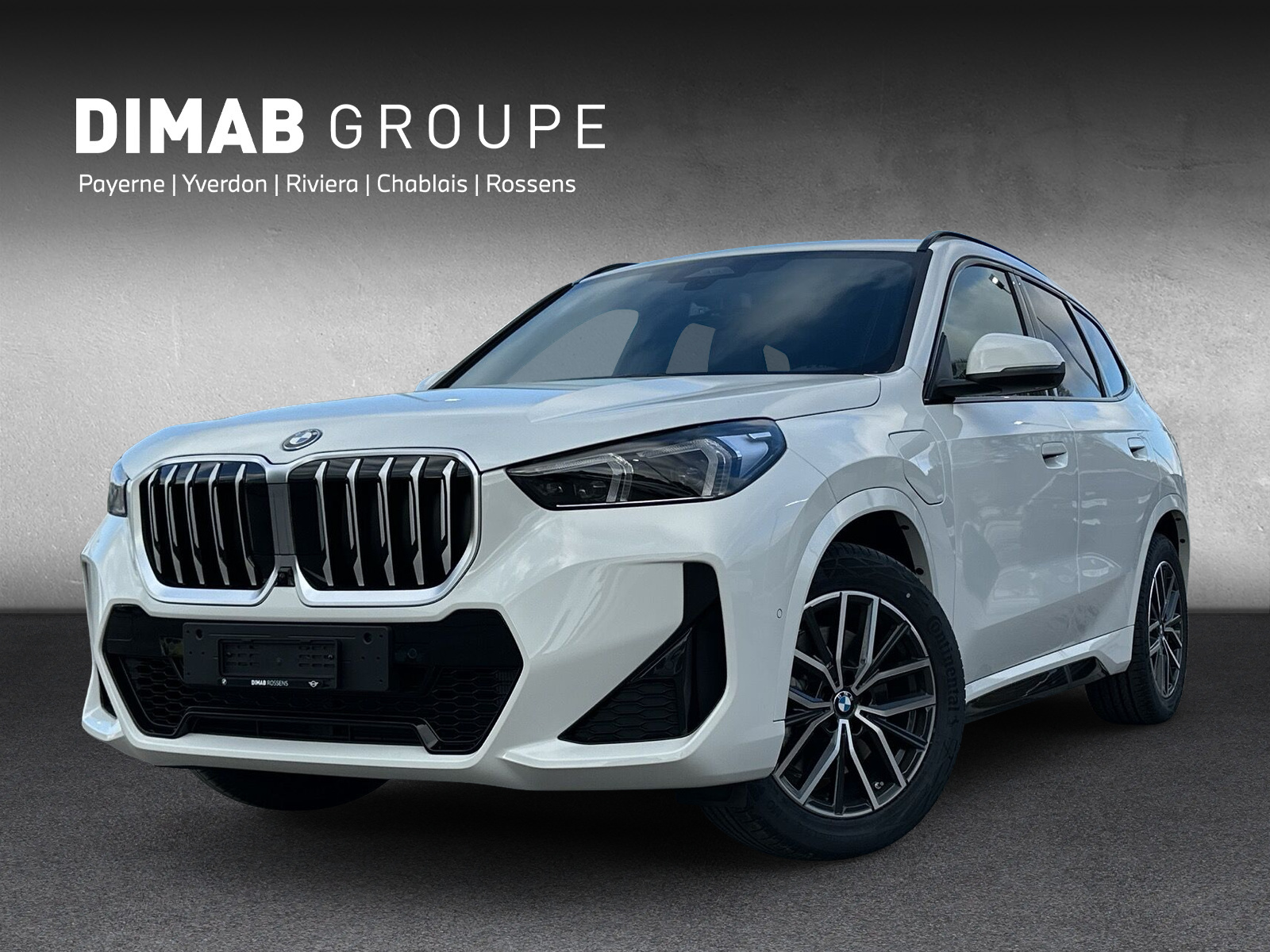 BMW X1 xDrive 25e M Sport