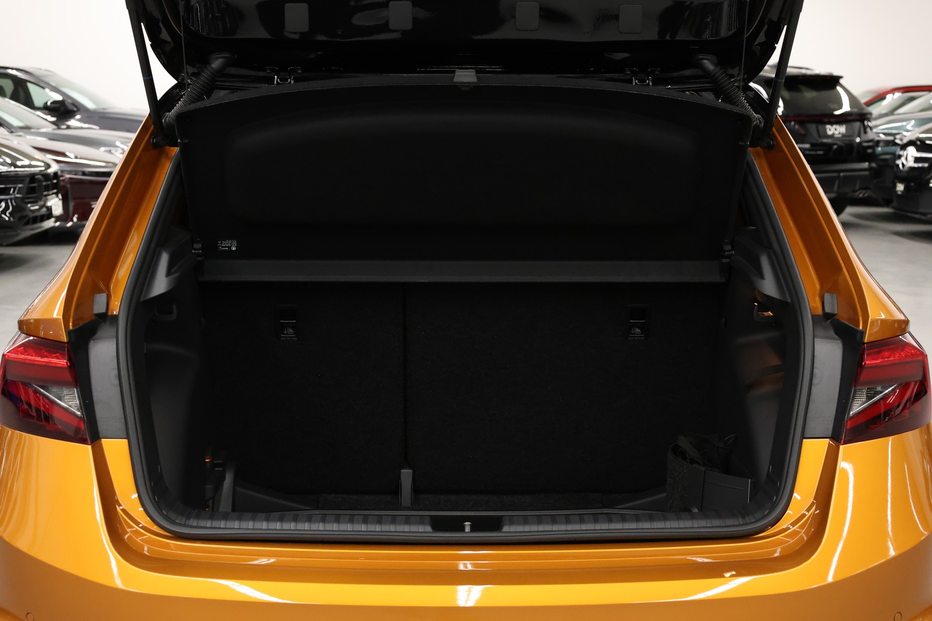 SKODA Fabia 1.0 TSI Monte Carlo DSG-image-23
