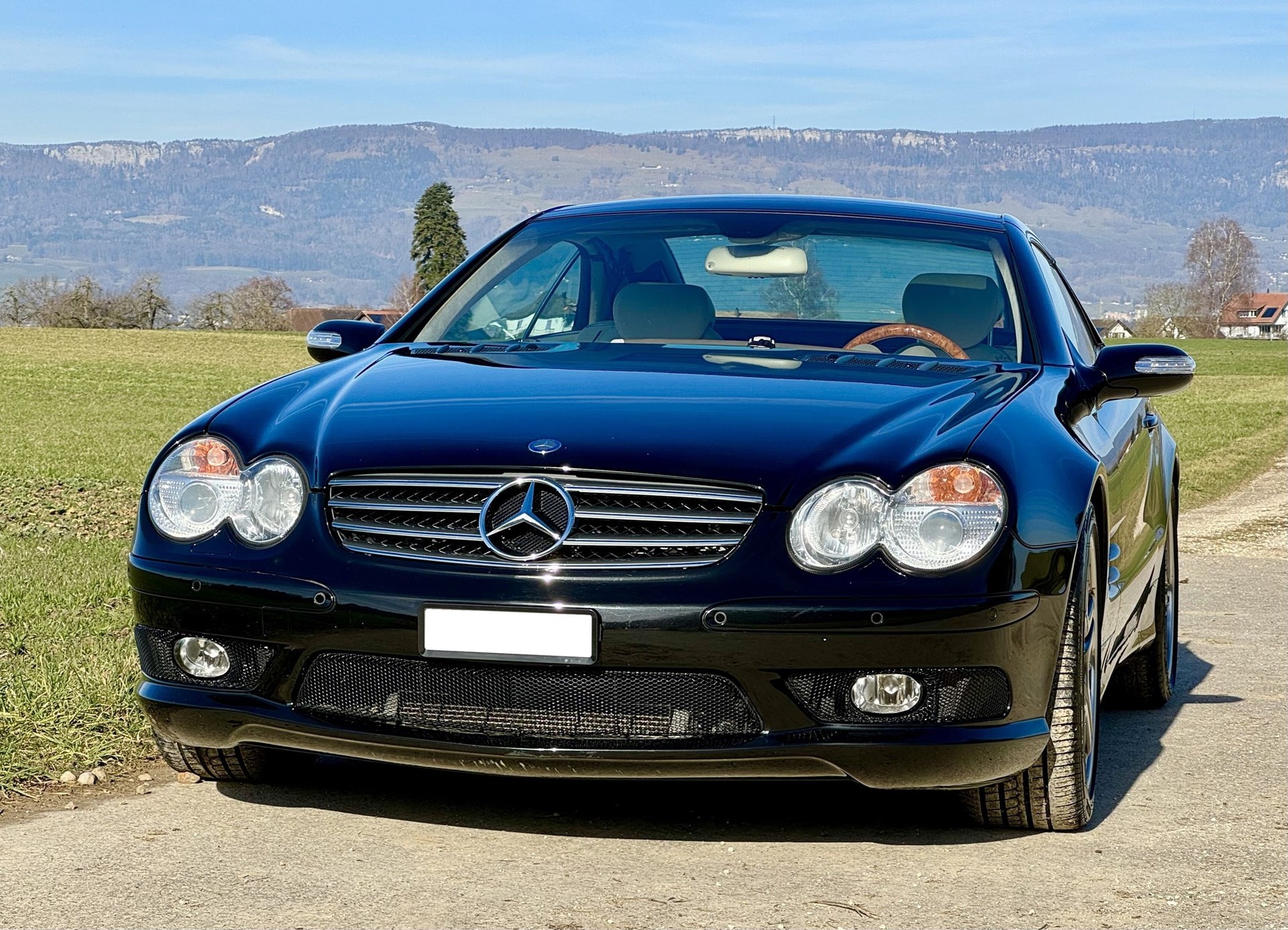 MERCEDES-BENZ SL 600 Automatic-image-4