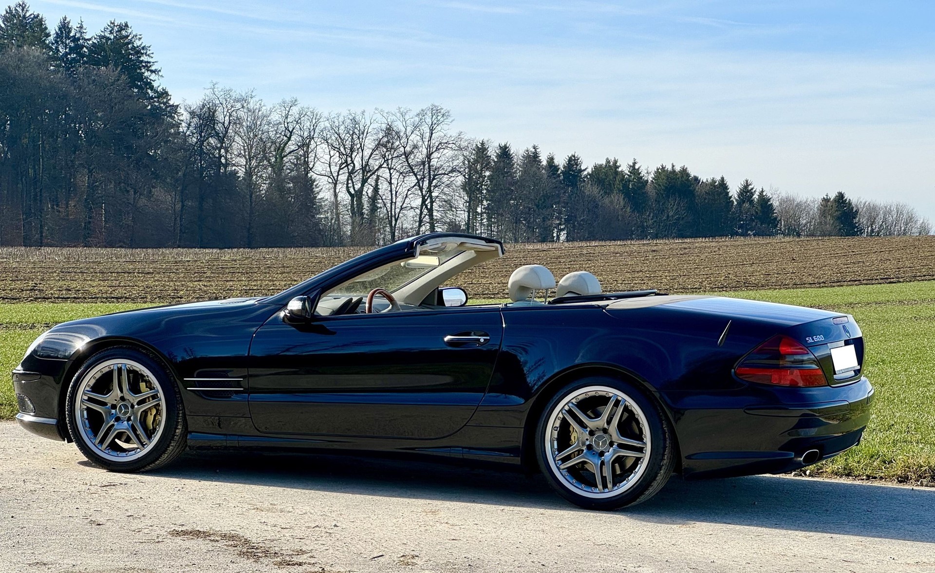 MERCEDES-BENZ SL 600 Automatic-image-7