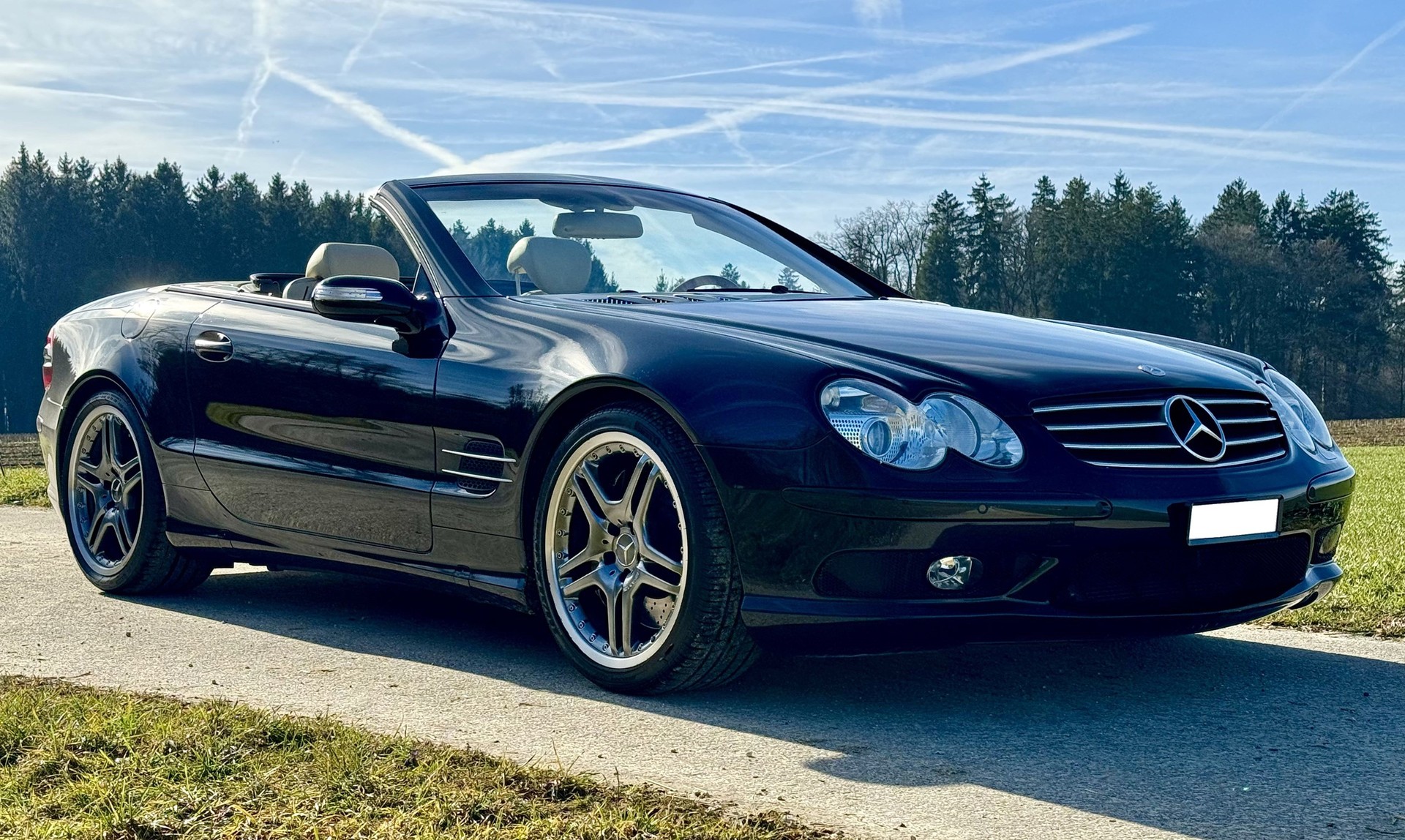 MERCEDES-BENZ SL 600 Automatic-image-16