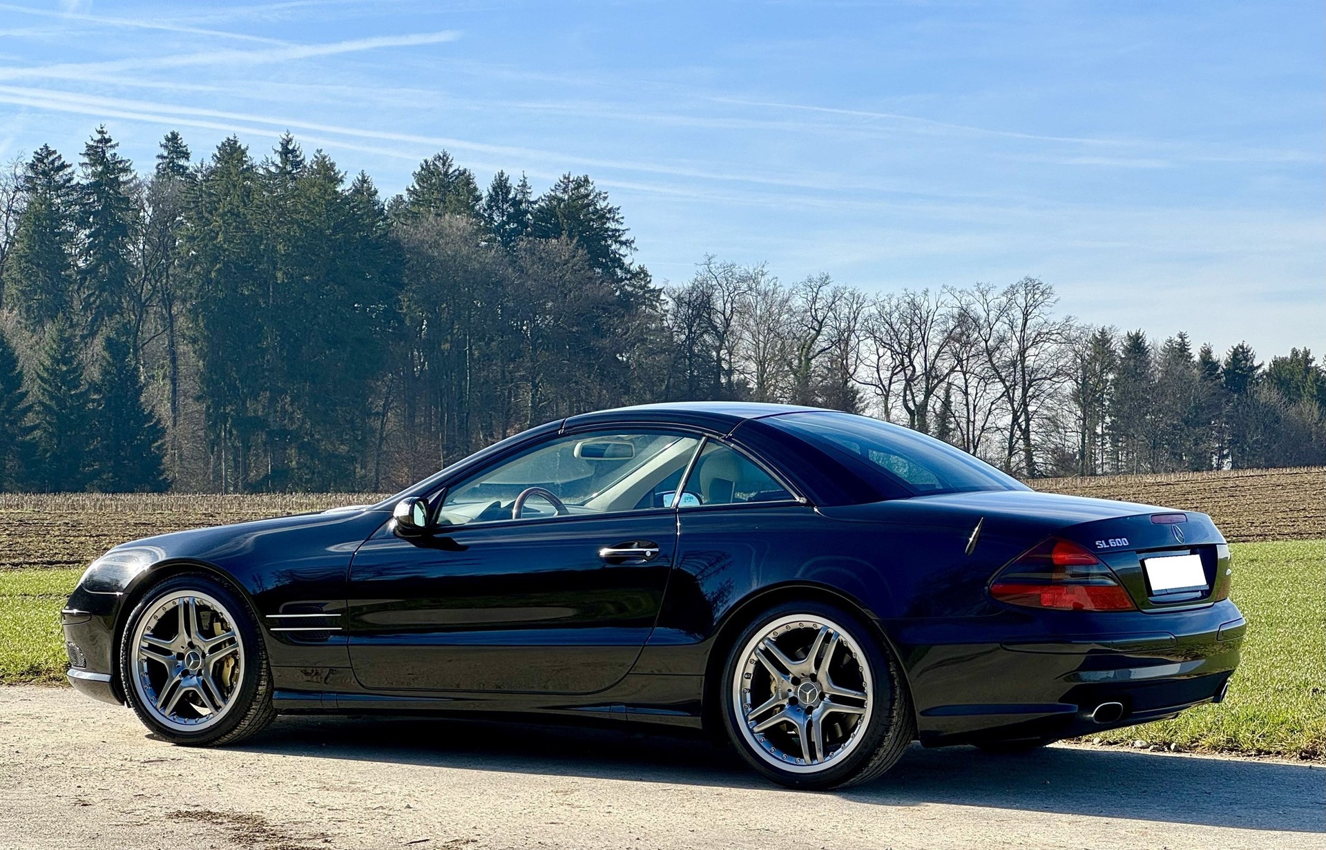 MERCEDES-BENZ SL 600 Automatic-image-5