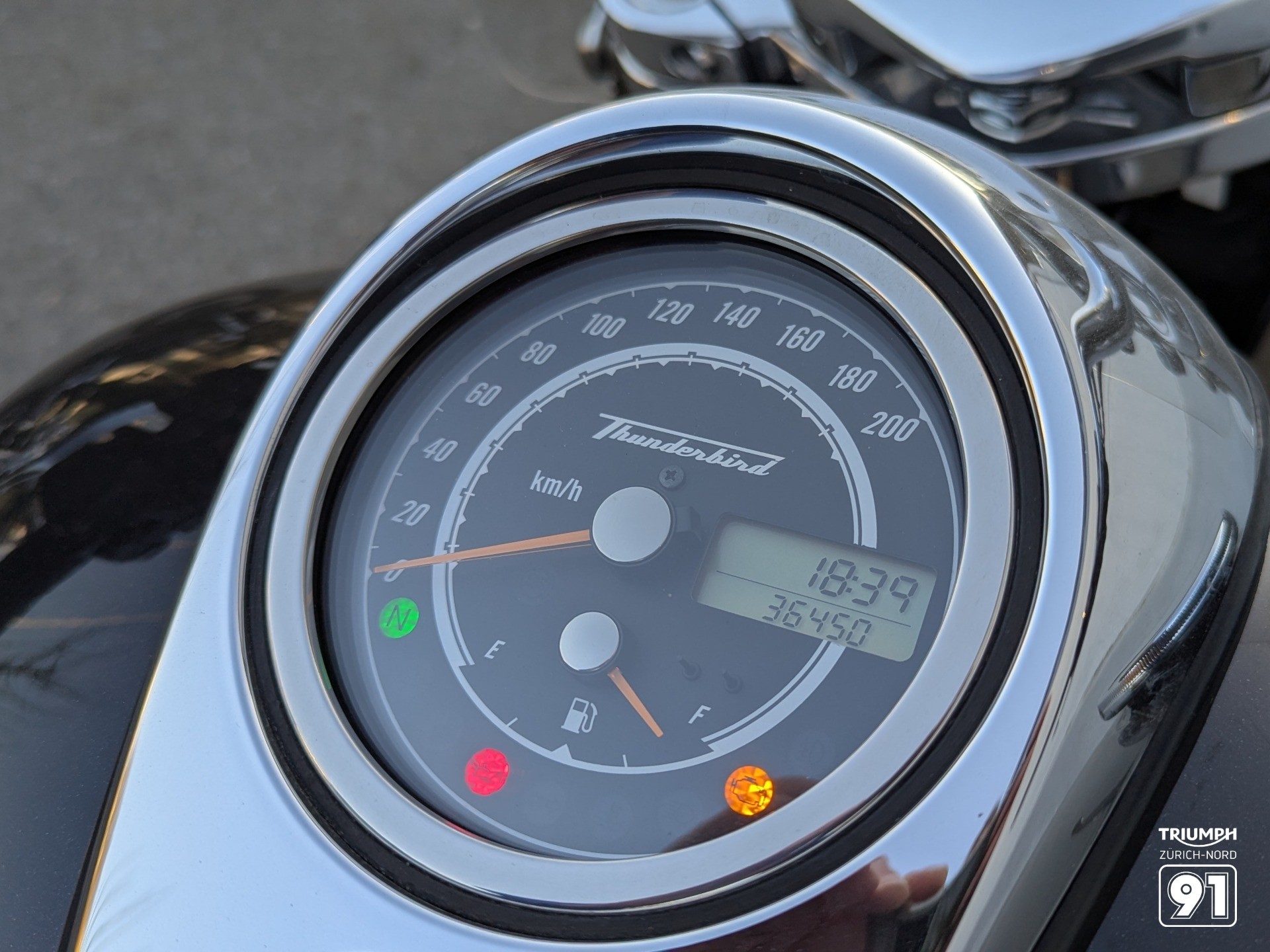 TRIUMPH Thunderbird Commander 1700 ABS-image-9