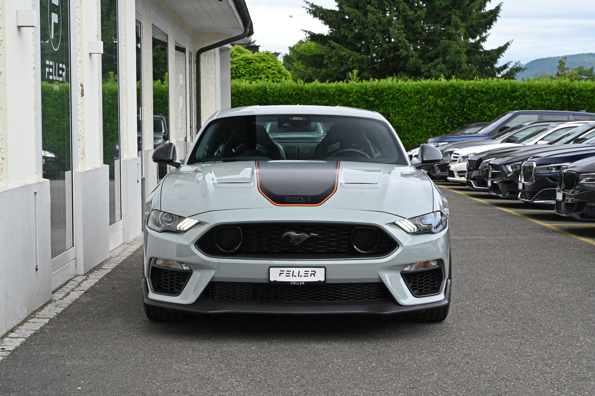 FORD Mustang Fastback 5.0 V8 Mach 1-showroom-element-2