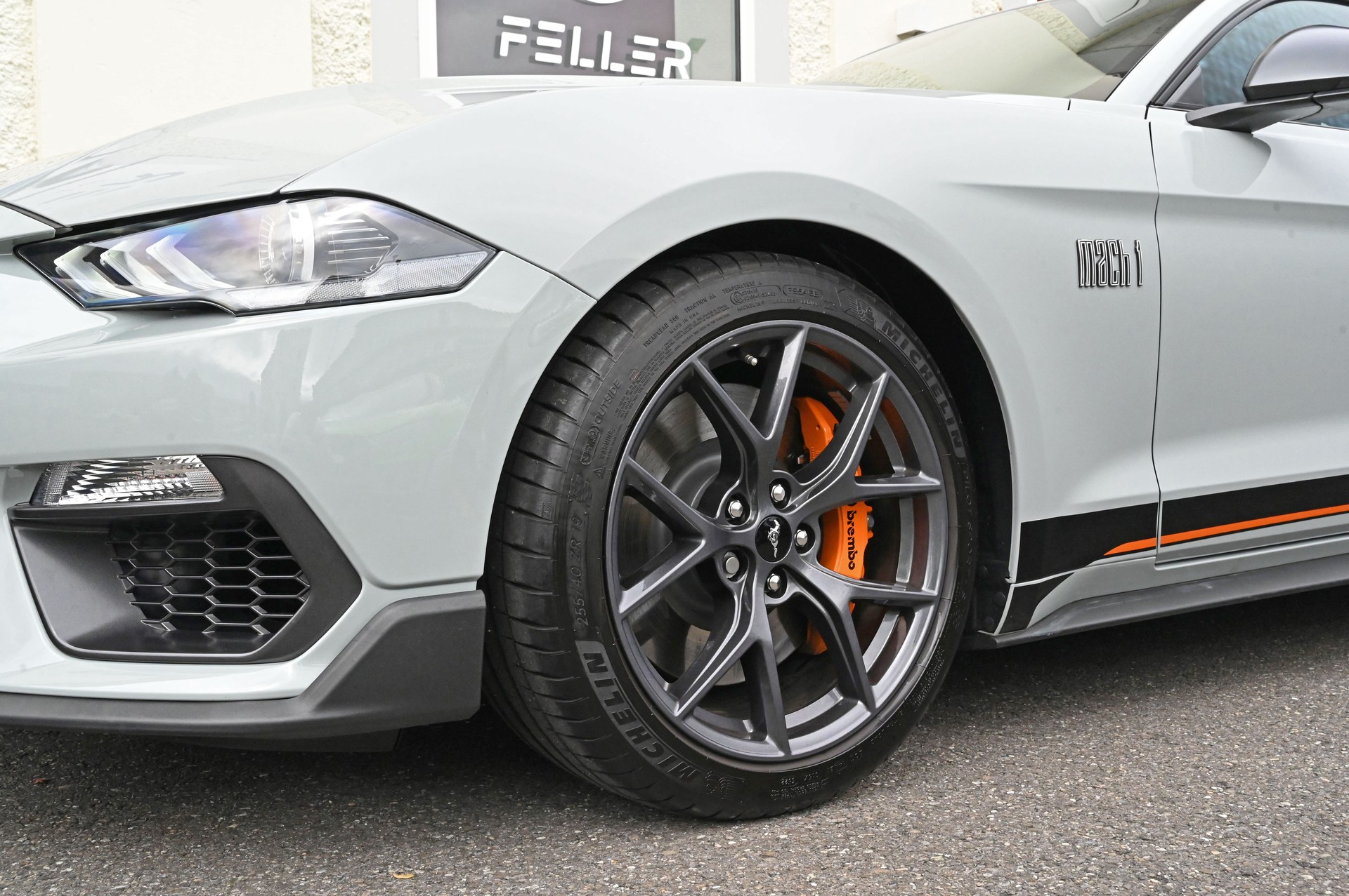 FORD Mustang Fastback 5.0 V8 Mach 1-image-4