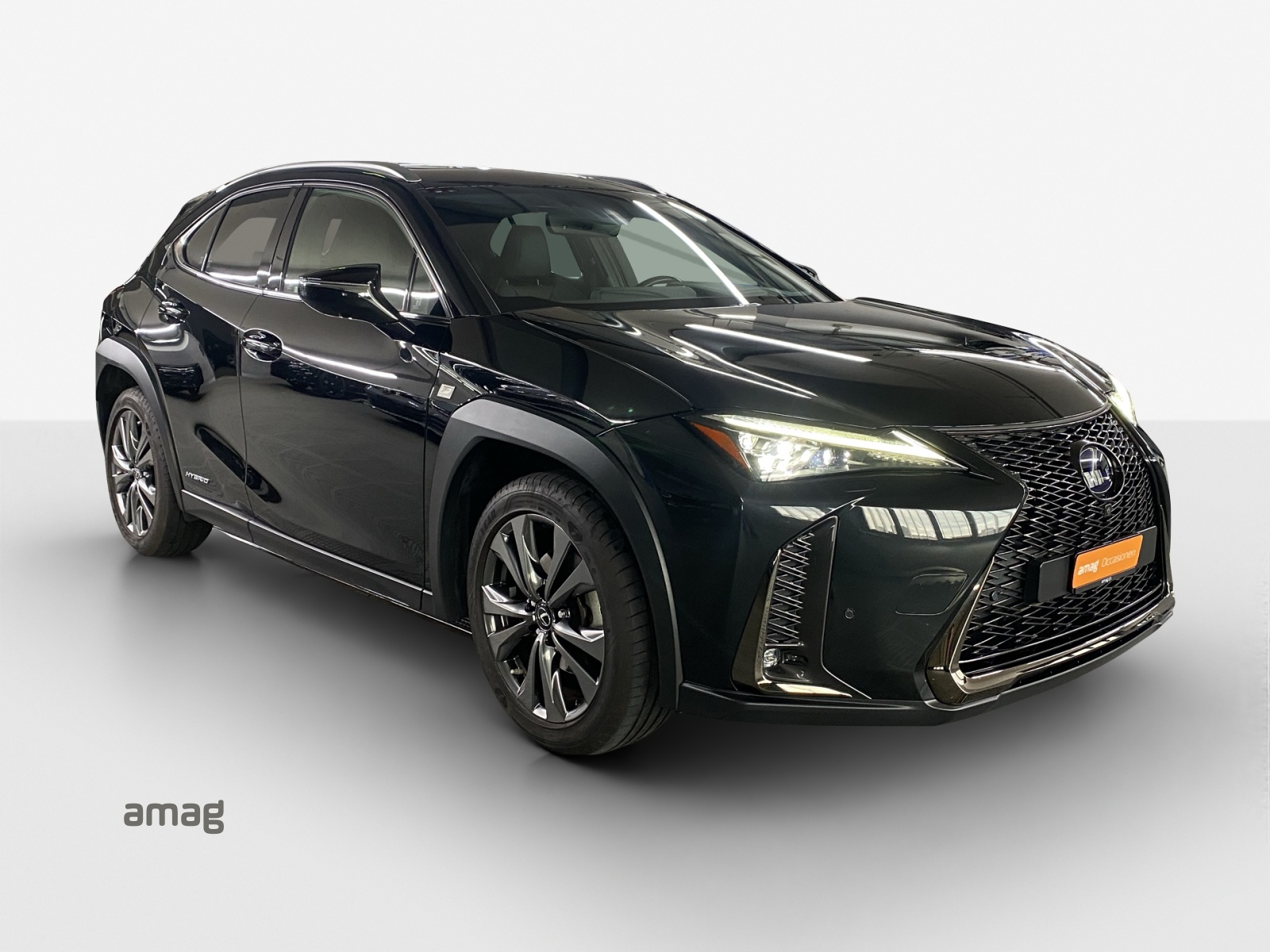 LEXUS UX 250h F Sport AWD Automatic-image-5