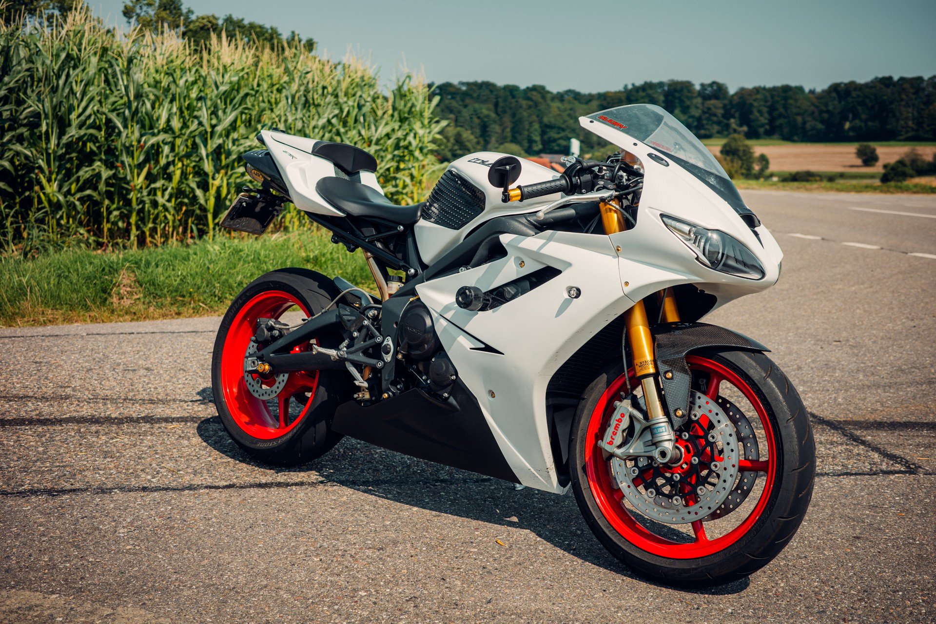TRIUMPH Daytona 675 R-image-0