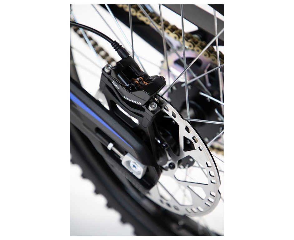 TALARIA Sting R L1e-image-11