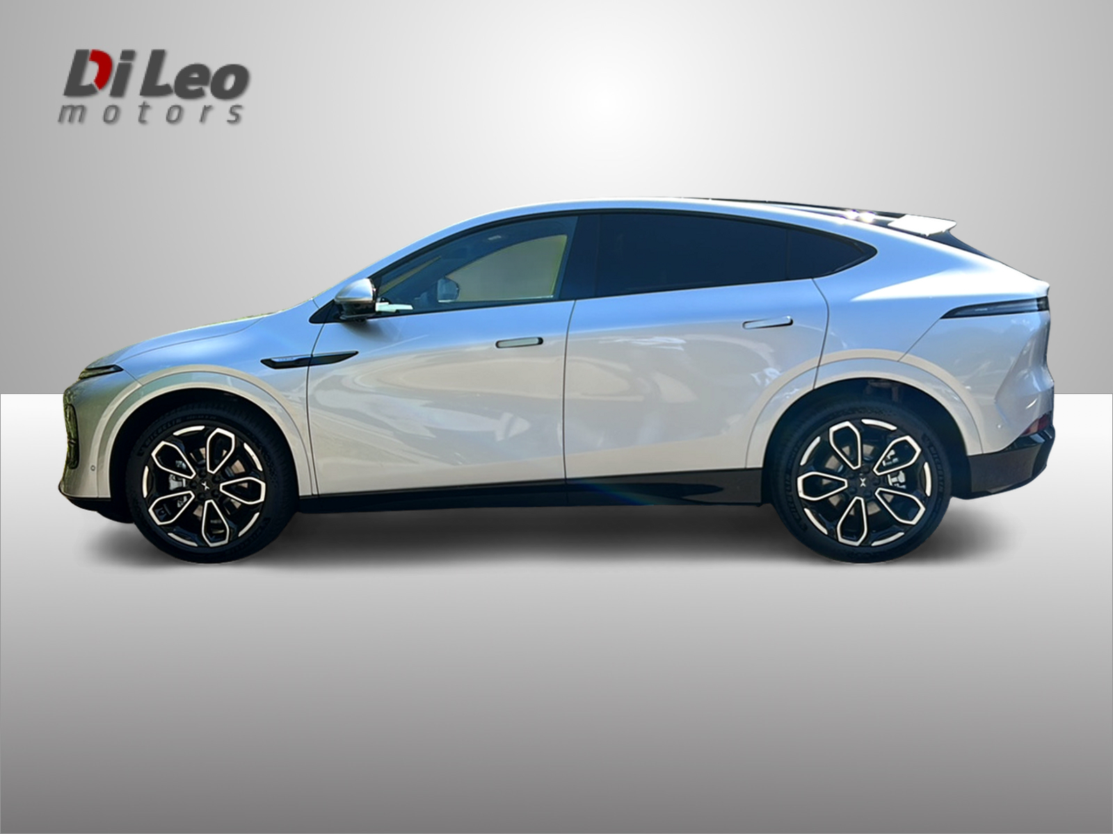 XPENG G6 80kWh Performance AWD-image-7