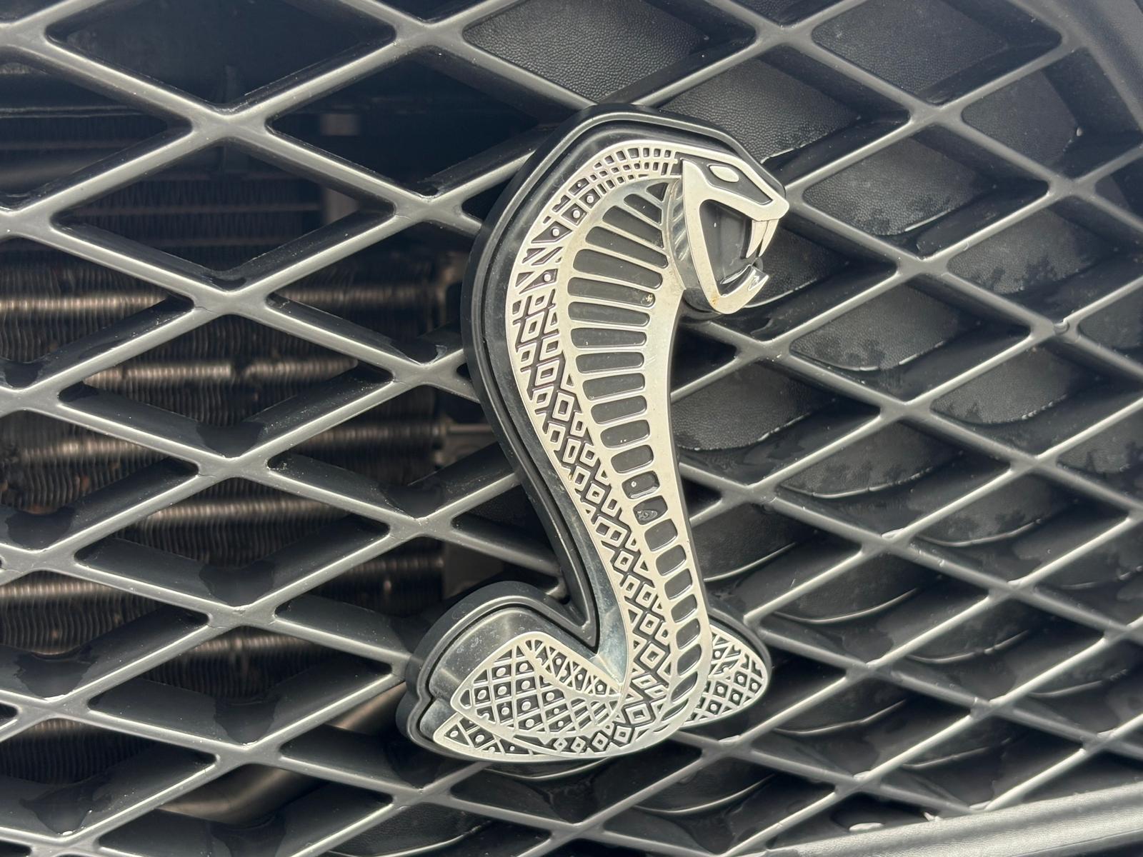 FORD MUSTANG SHELBY GT500-image-16