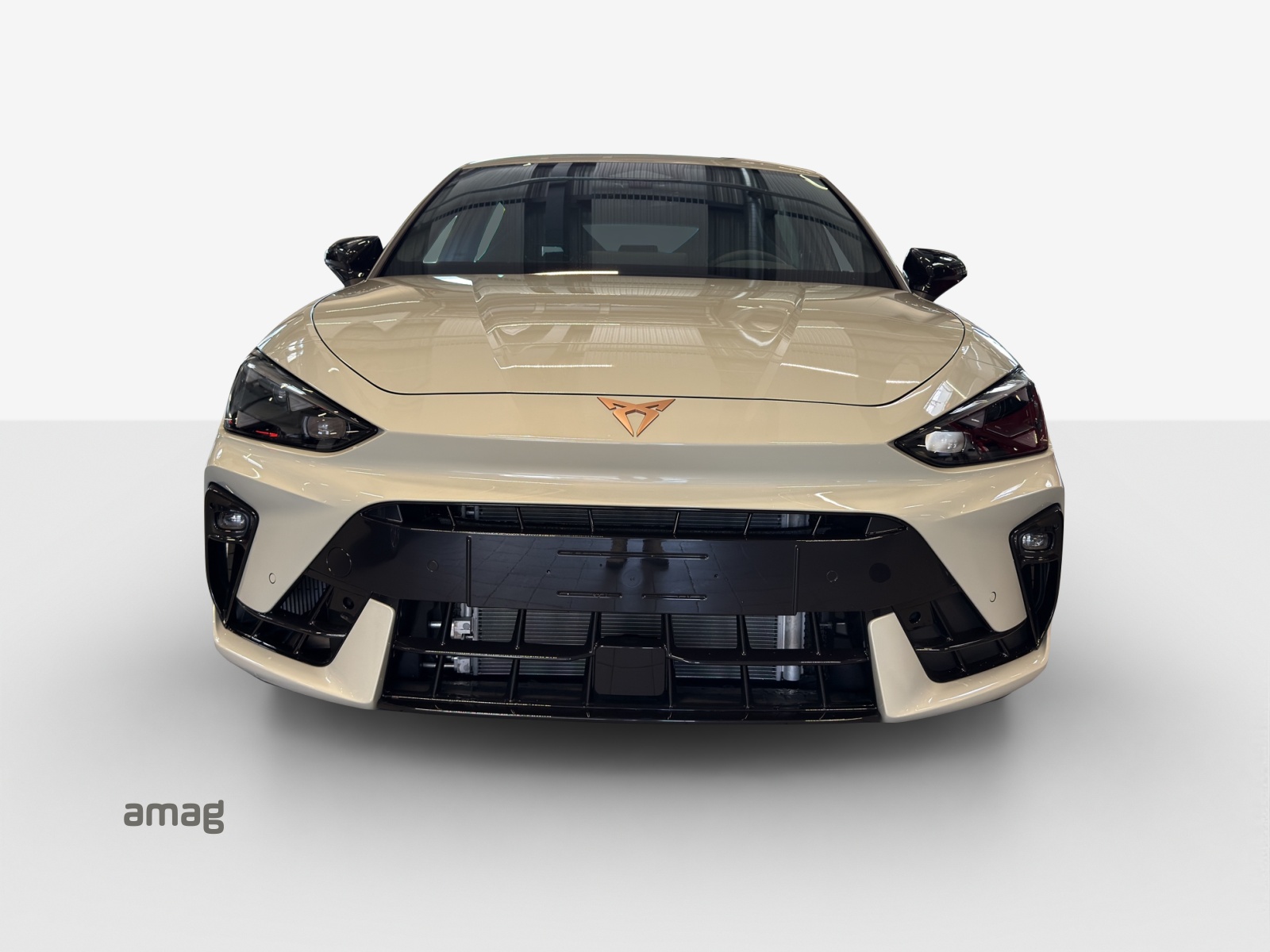 CUPRA LEON 2.0 TSI VZ DSG-image-6