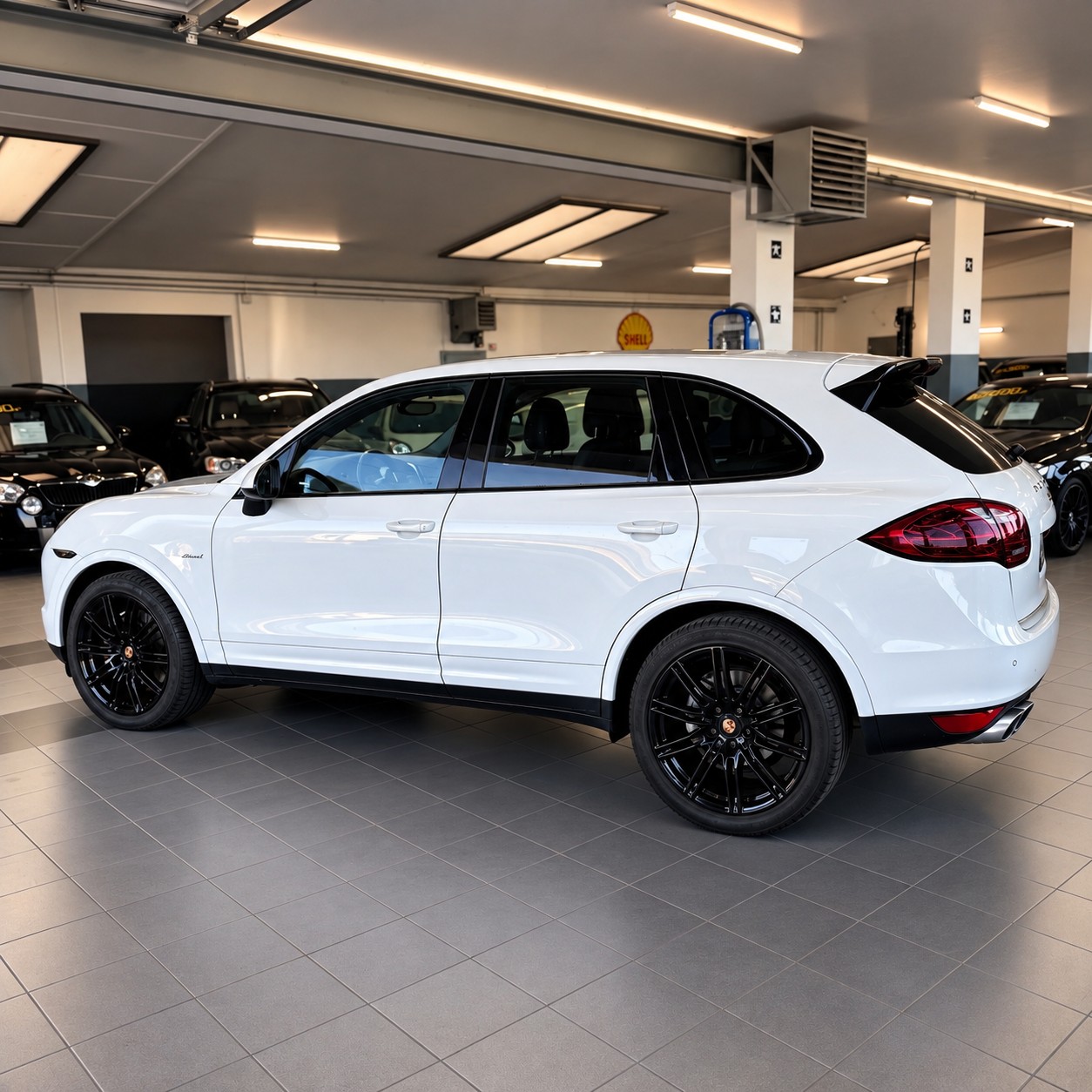 PORSCHE S Diesel-showroom-element-3