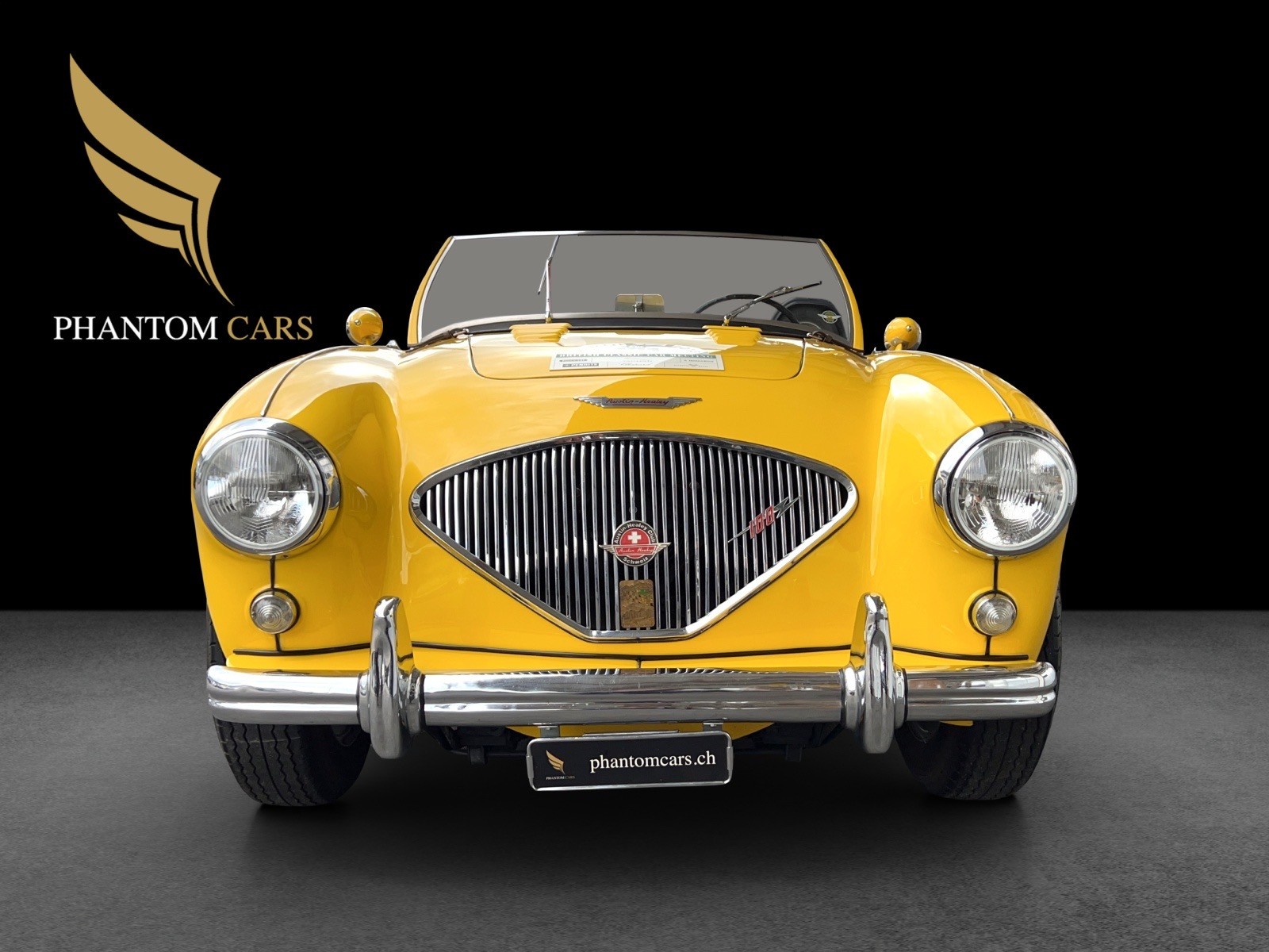 AUSTIN-HEALEY BN1 100/4 VETERAN-showroom-element-2