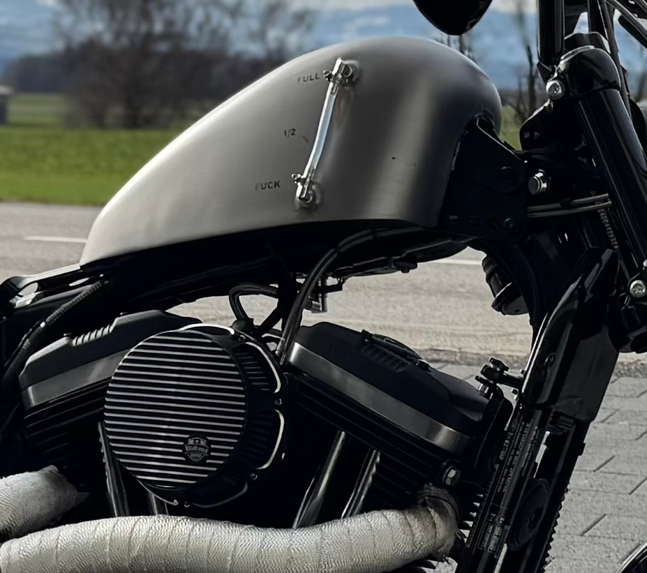 HARLEY-DAVIDSON XL 1200 X Forty Eight-image-3
