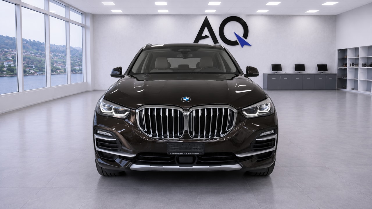 BMW X5 xDrive 30d xLine Steptronic-showroom-element-3