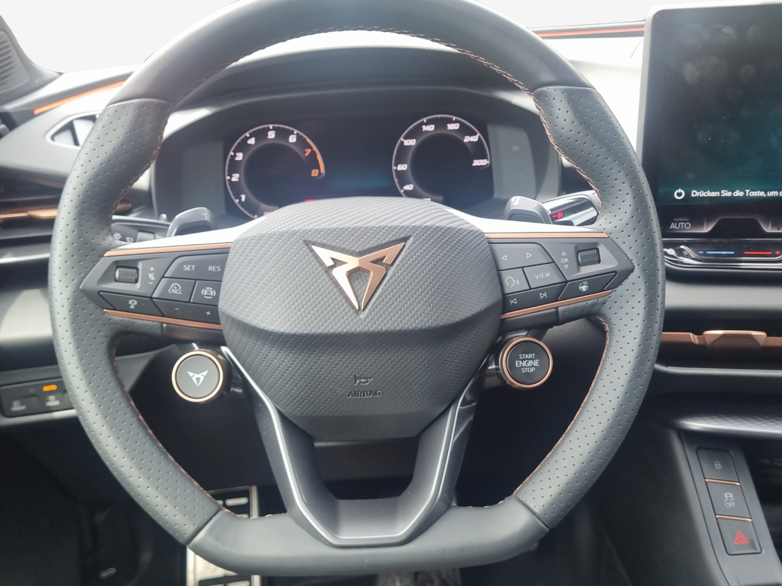 CUPRA Terramar 2.0 TSI DSG 4Drive Americas CUP-image-9