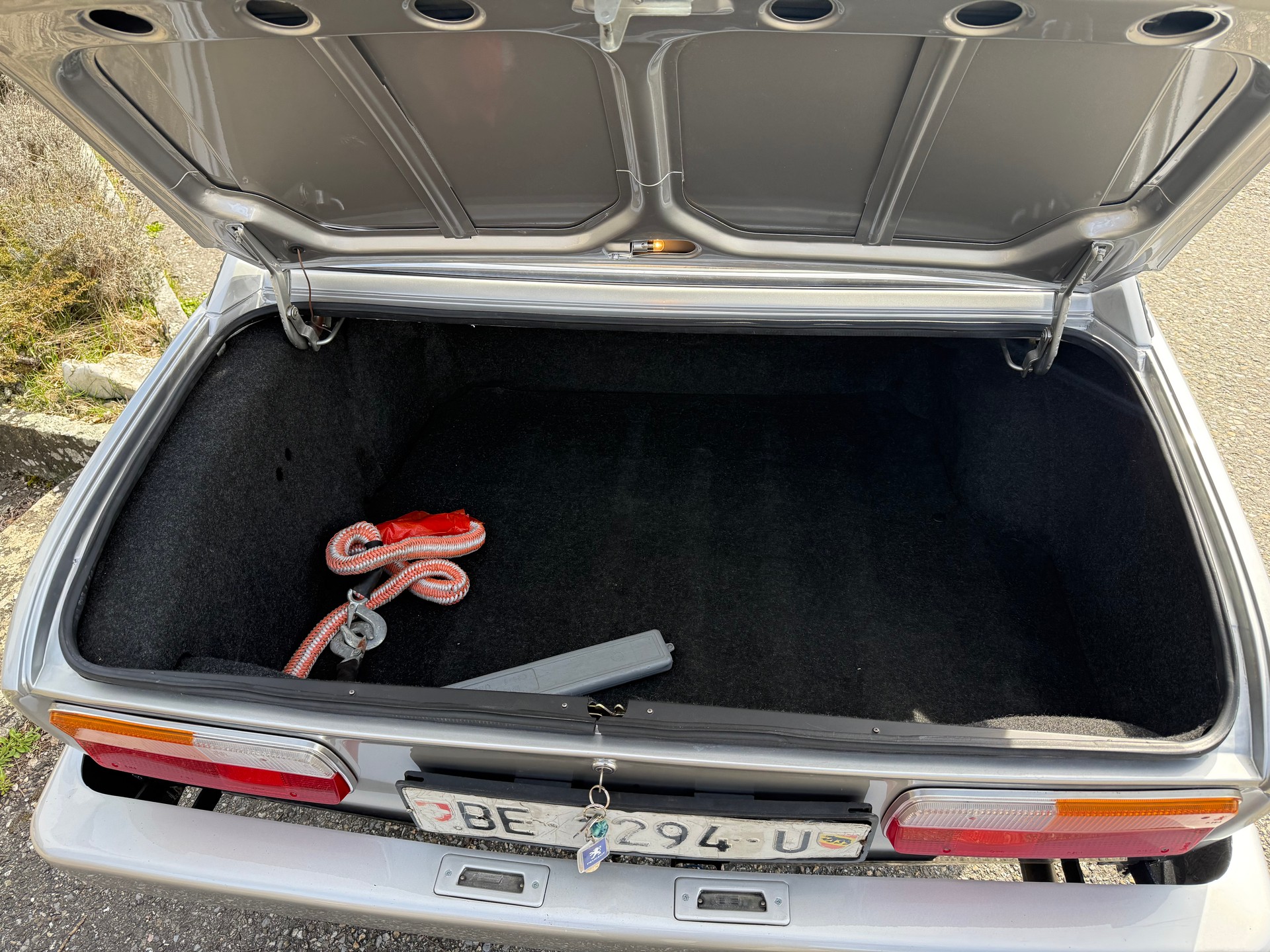 PEUGEOT 504-image-5