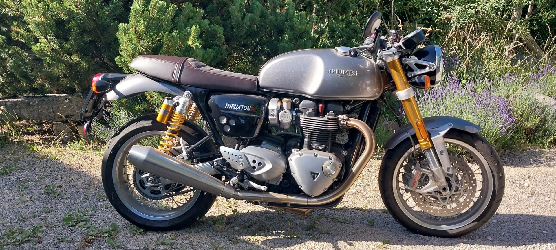 TRIUMPH Thruxton R 1200 i ABS-image-5