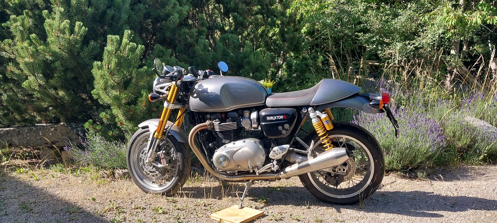 TRIUMPH Thruxton R 1200 i ABS-image-0