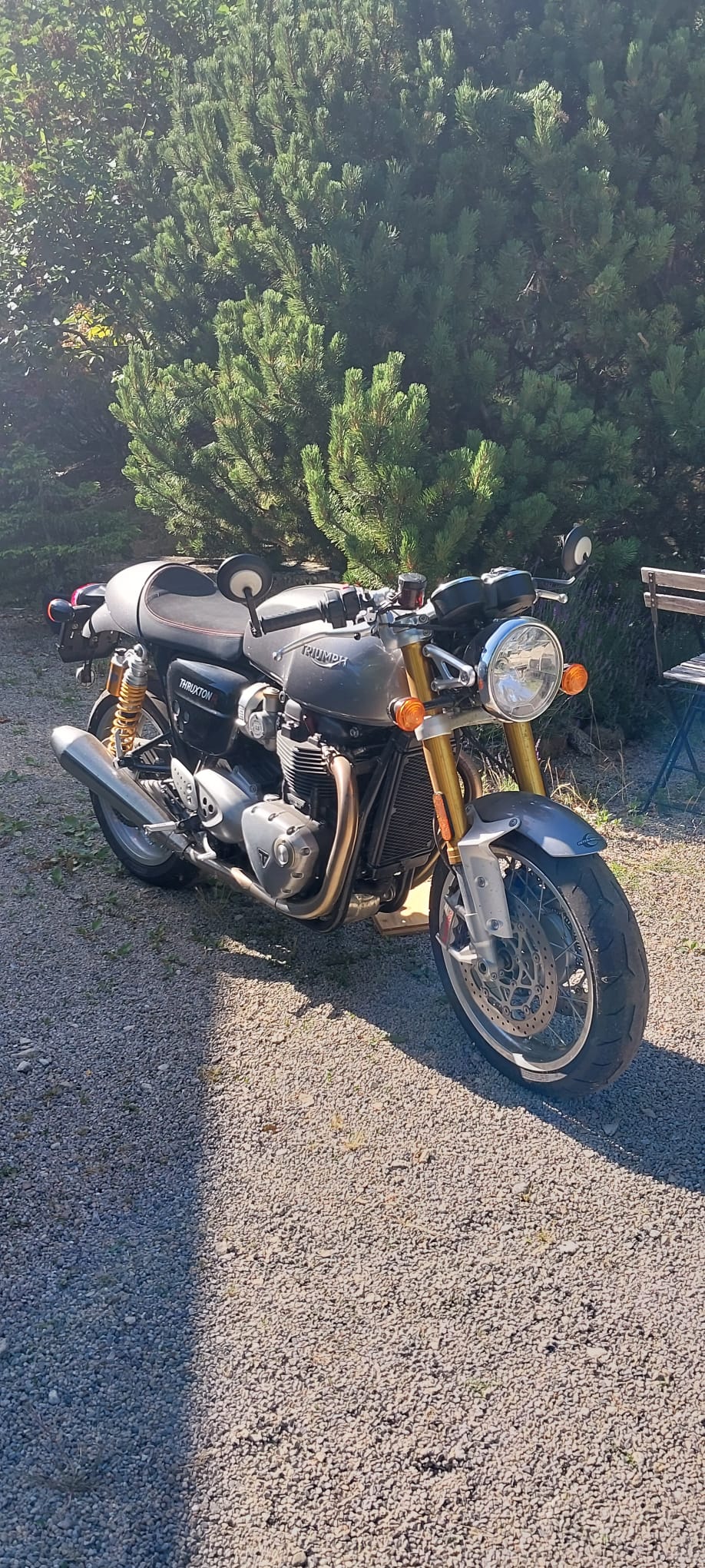 TRIUMPH Thruxton R 1200 i ABS-image-3