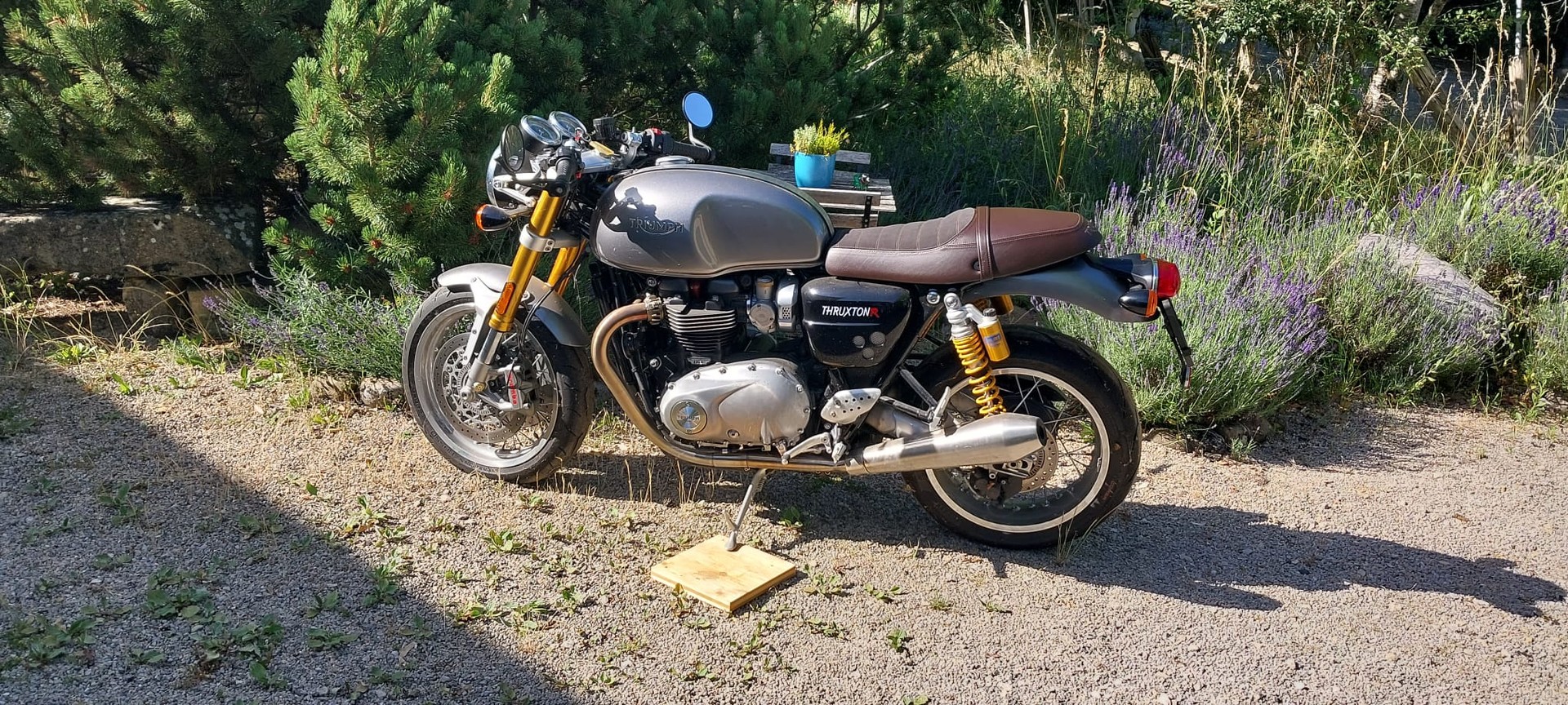 TRIUMPH Thruxton R 1200 i ABS-image-1