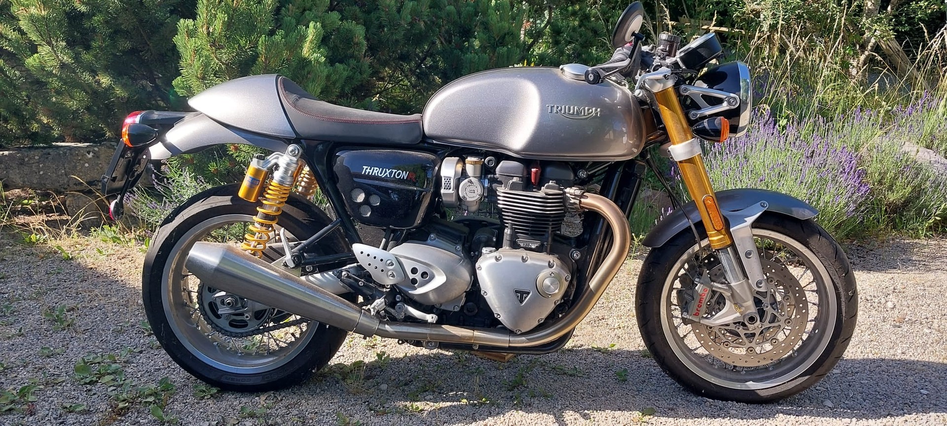 TRIUMPH Thruxton R 1200 i ABS-image-4