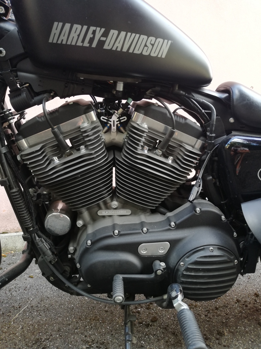 HARLEY-DAVIDSON Sportster-image-8