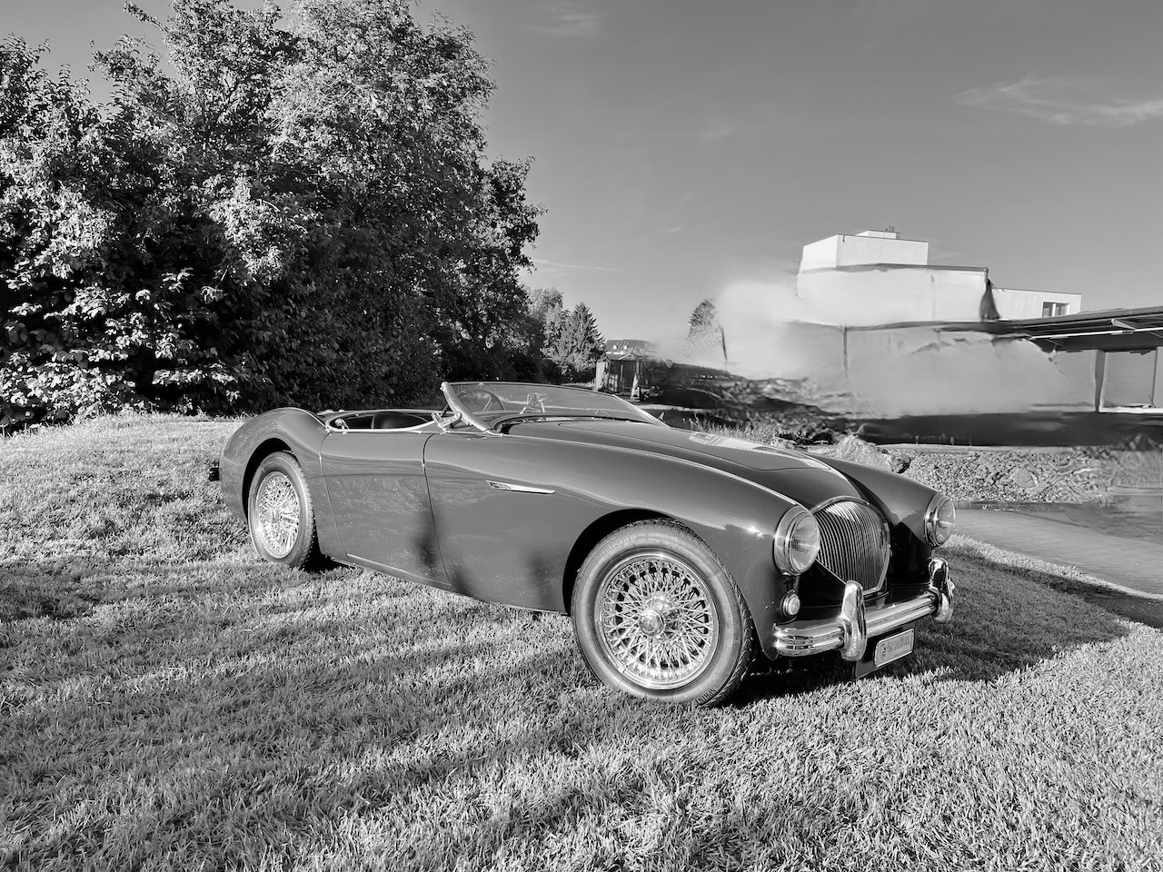 AUSTIN-HEALEY 100/4-image-13
