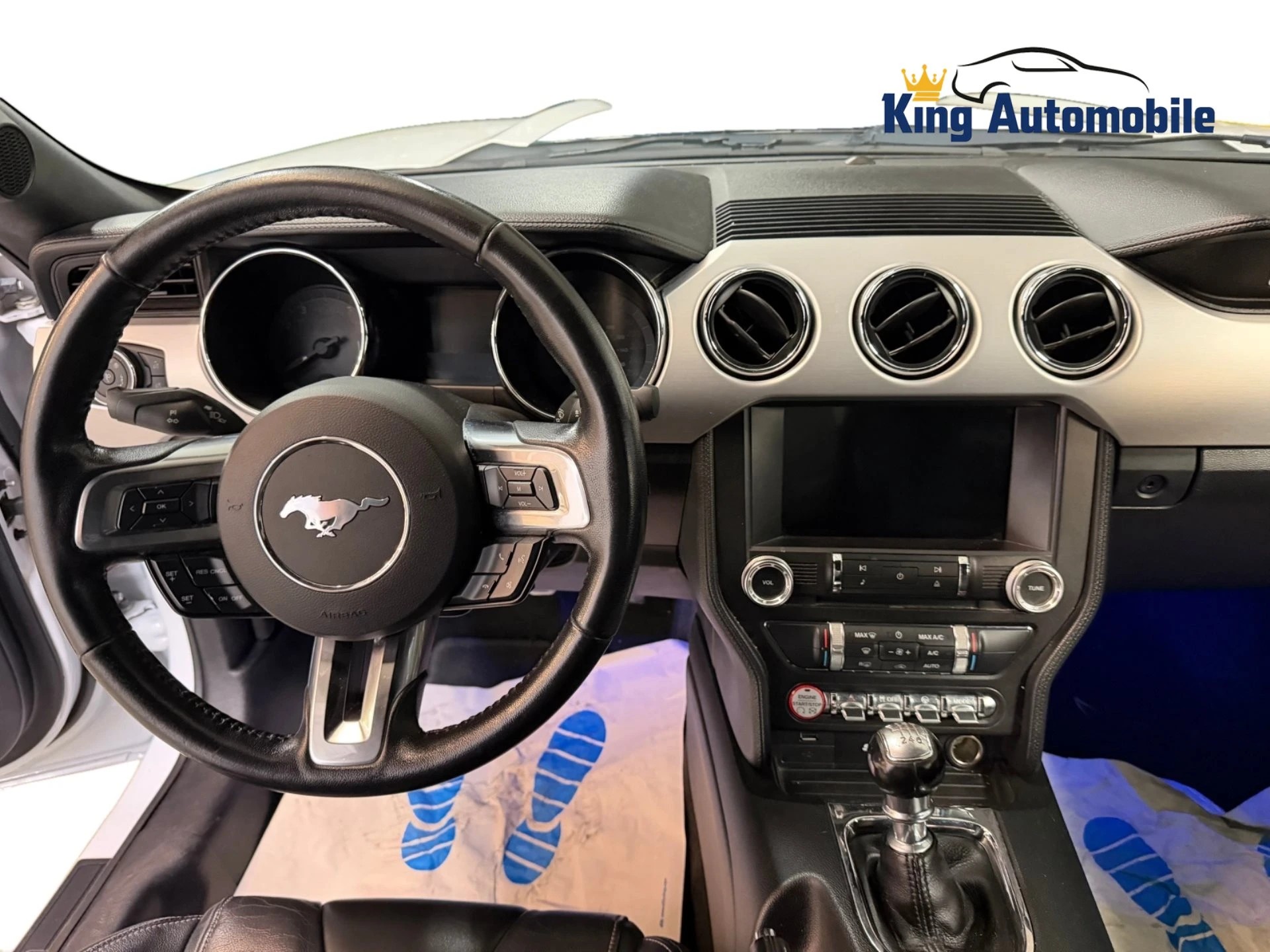 FORD Mustang Fastback 5.0 V8 GT | CH-Auto | Ab MFK 01.2026 | Recaro Ledersportsitze | Navi-image-12