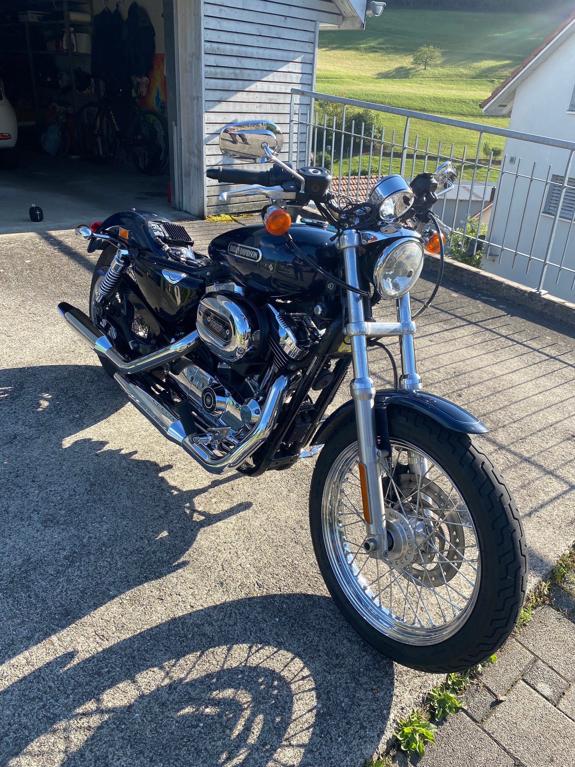HARLEY-DAVIDSON XL 1200 L Sportster Low Injection-image-1