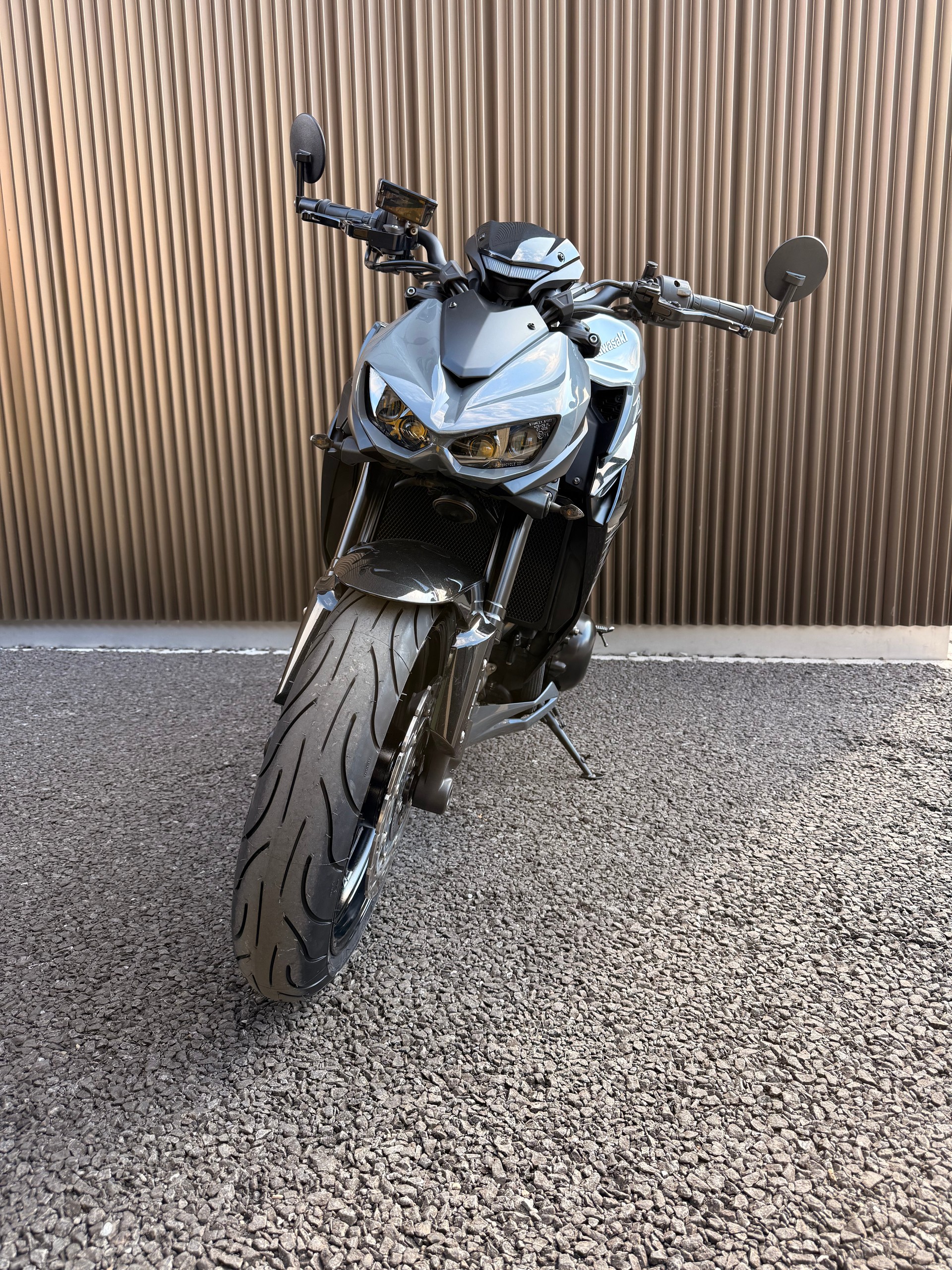 KAWASAKI Z 1000 Performance ABS-image-3