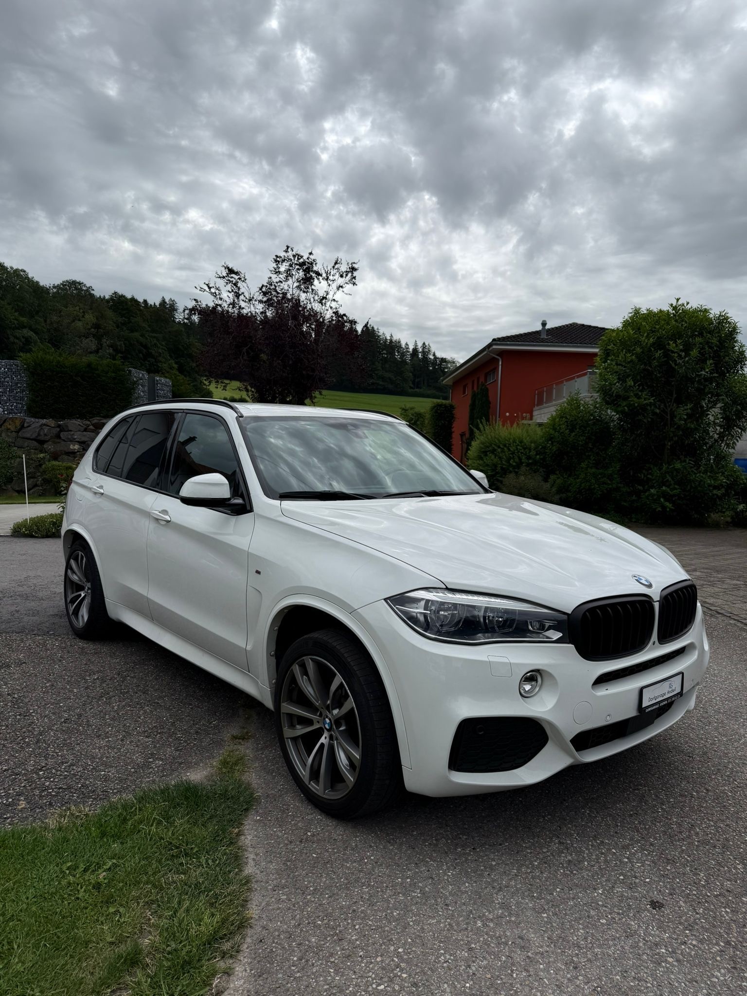 BMW X5 xDrive 30d Steptronic-image-4