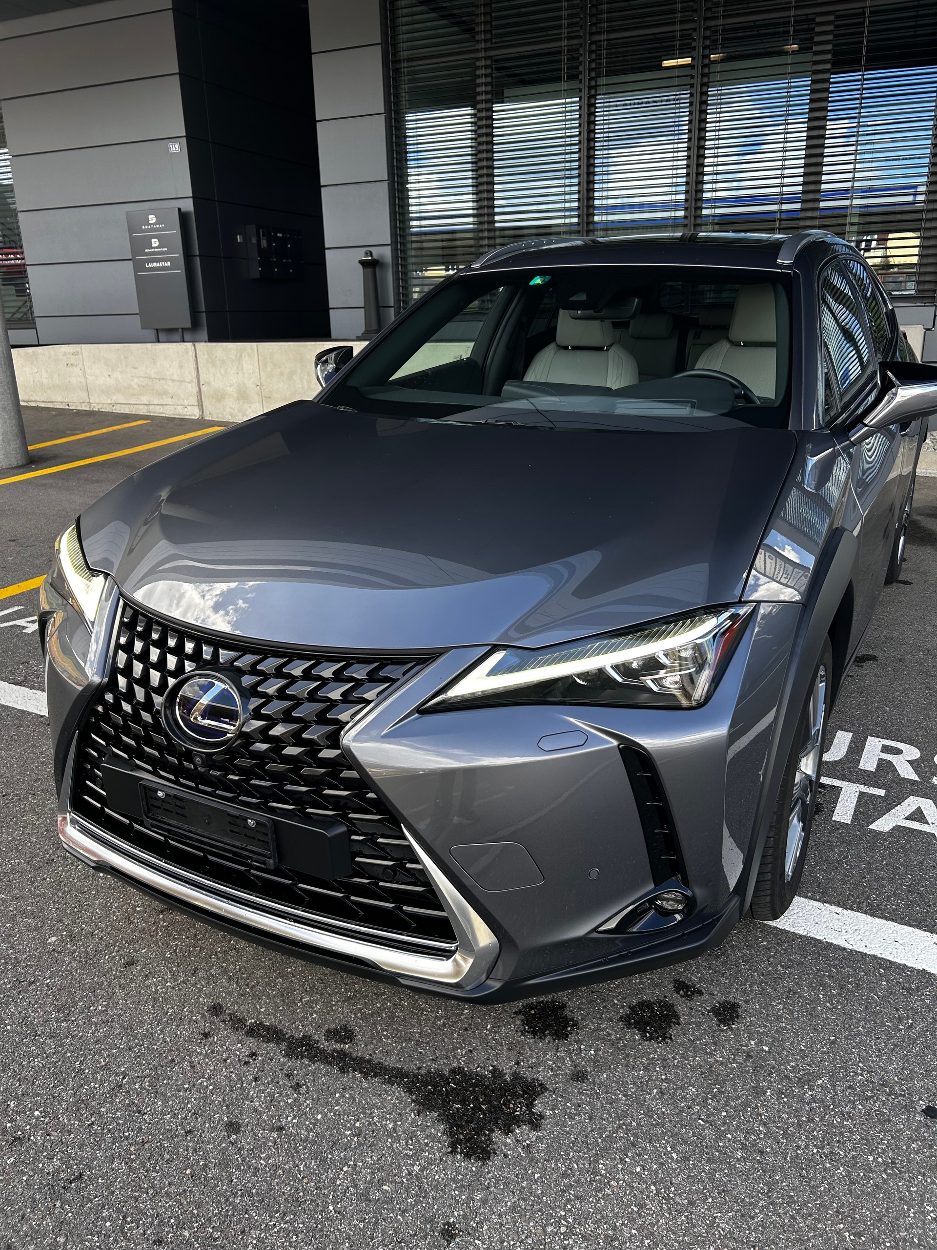 LEXUS 300e Excellence