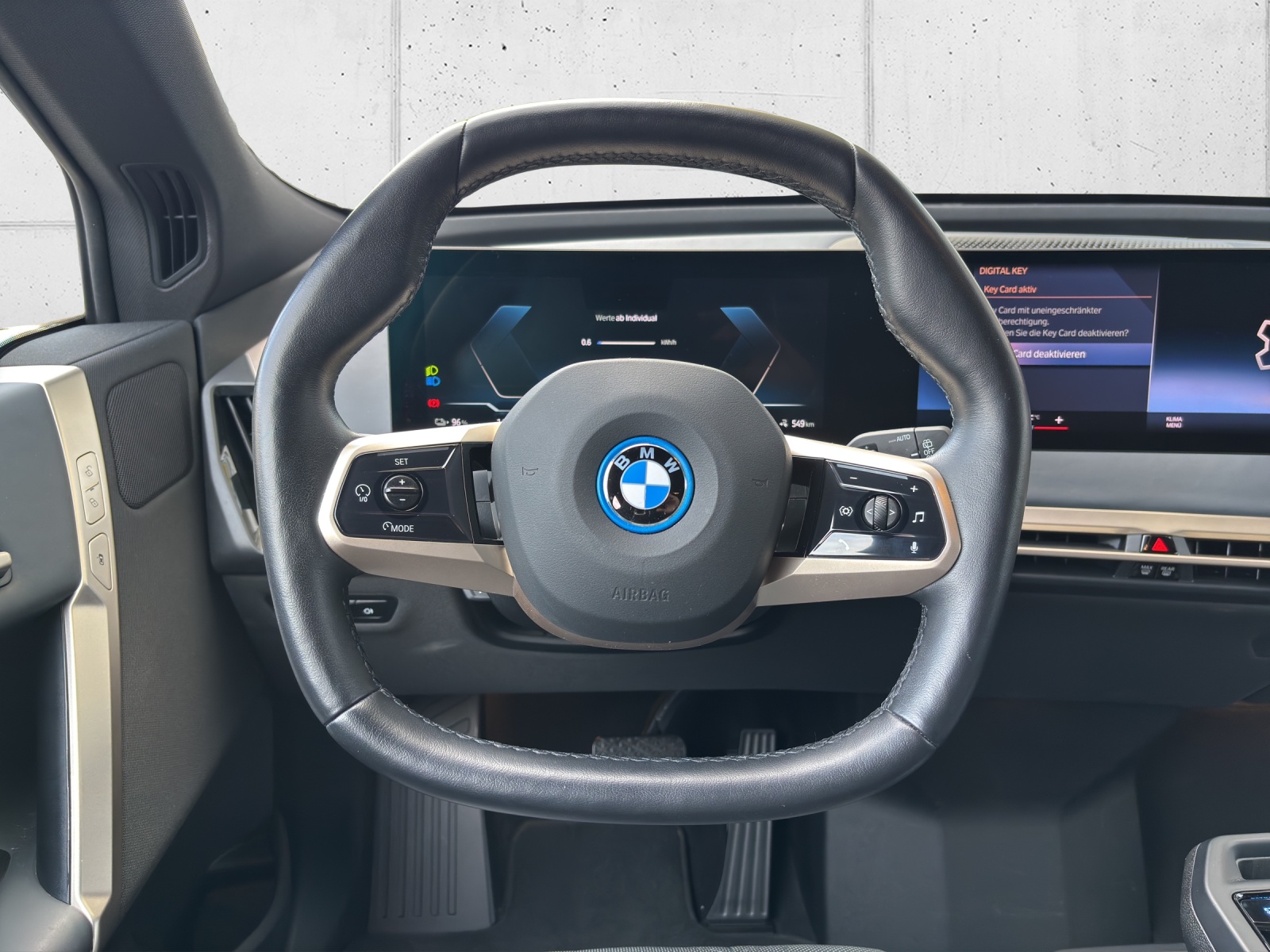 BMW iX xDrive50 mit AHK, Integral-Aktivlenkung & Winterkompletträder-image-12